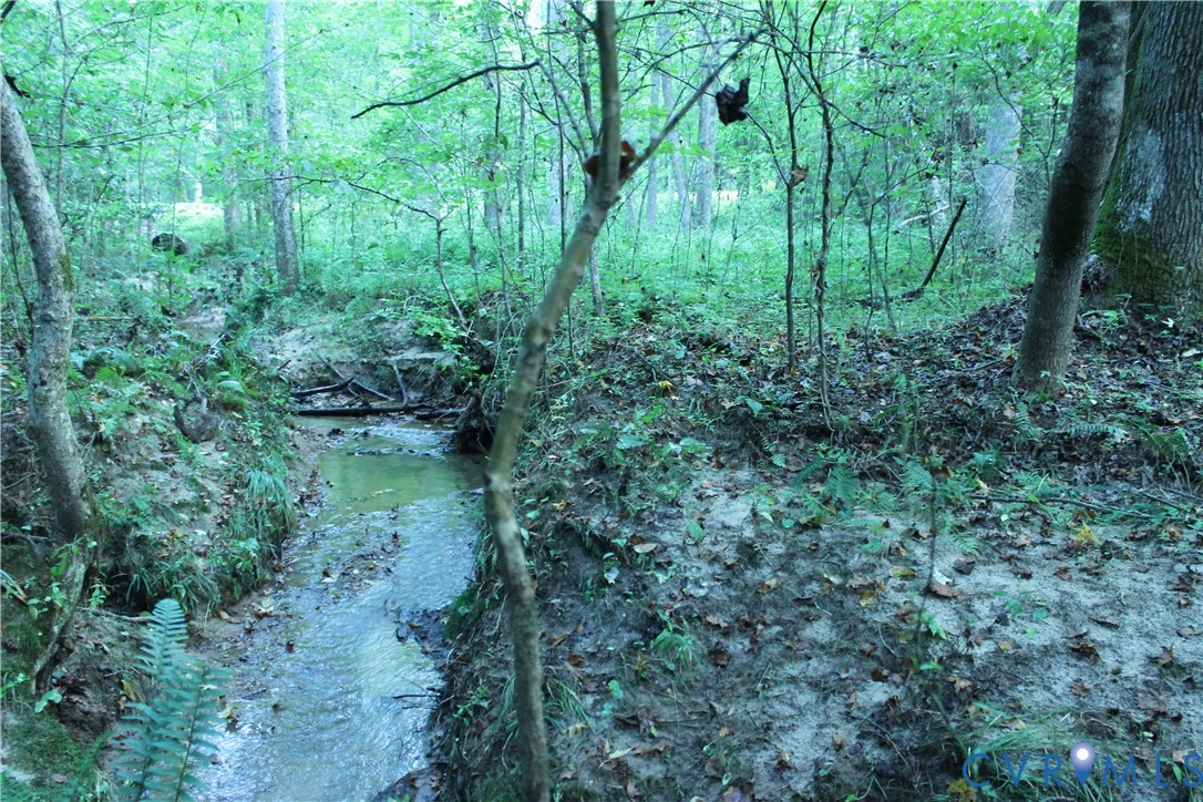 0 Floyd Road Brodnax, VA 23920 - Photo 27 of 30