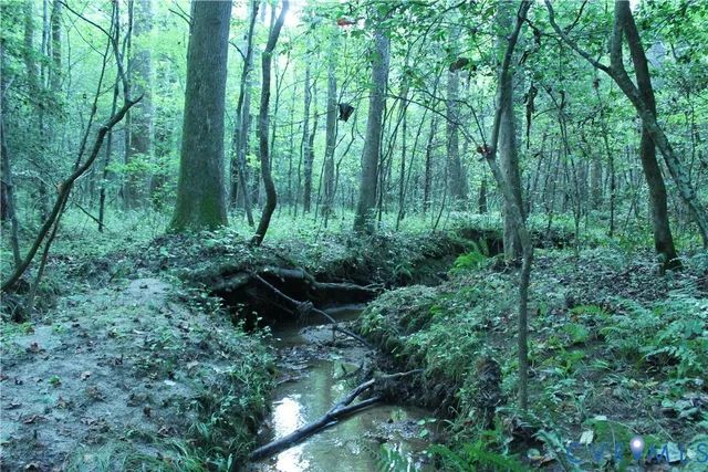 $50,000 | 0 Floyd Road, Brodnax, VA 23920