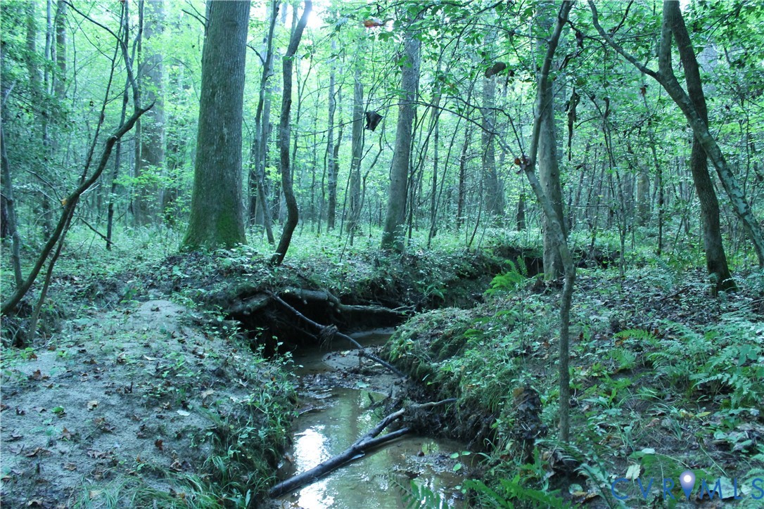 0 Floyd Road Brodnax, VA 23920 - Photo 28 of 30 a view of a garden