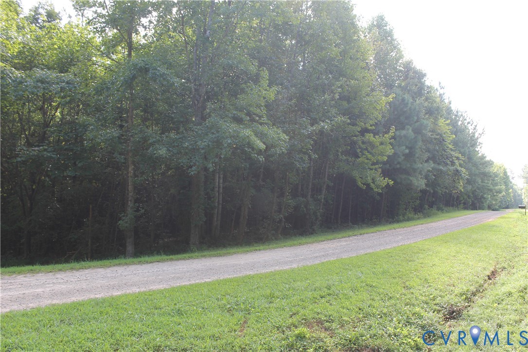 0 Floyd Road Brodnax, VA 23920 - Photo 3 of 30 a view of a yard with a tree