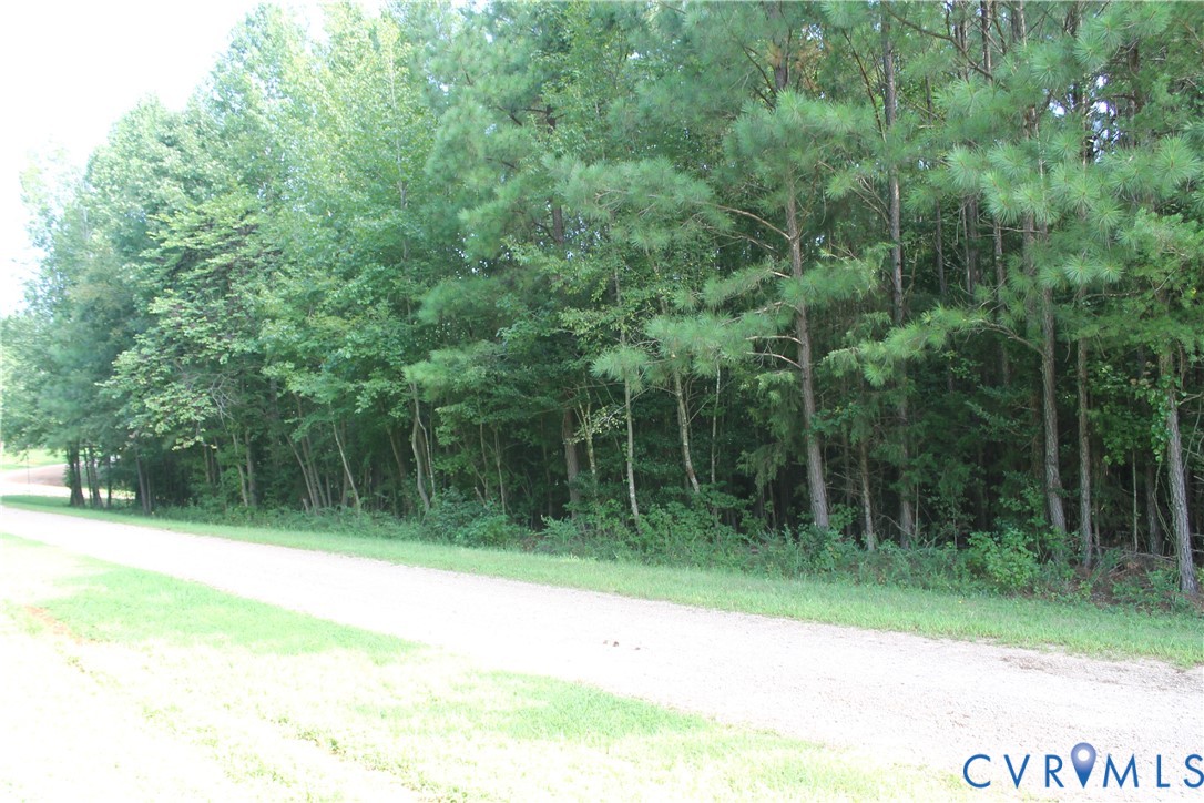 0 Floyd Road Brodnax, VA 23920 - Photo 4 of 30 a view of a wooden fence