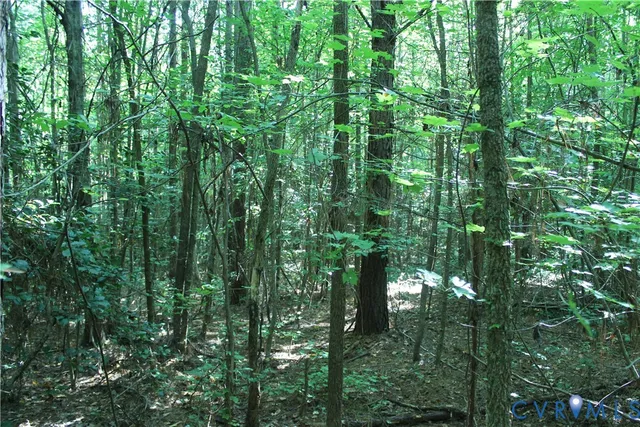 a green field with lots of trees