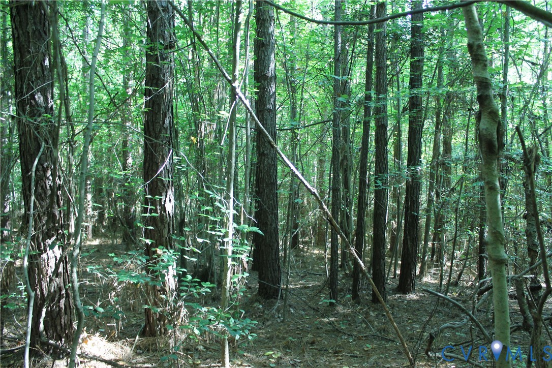 0 Floyd Road Brodnax, VA 23920 - Photo 10 of 30 a green field with lots of trees