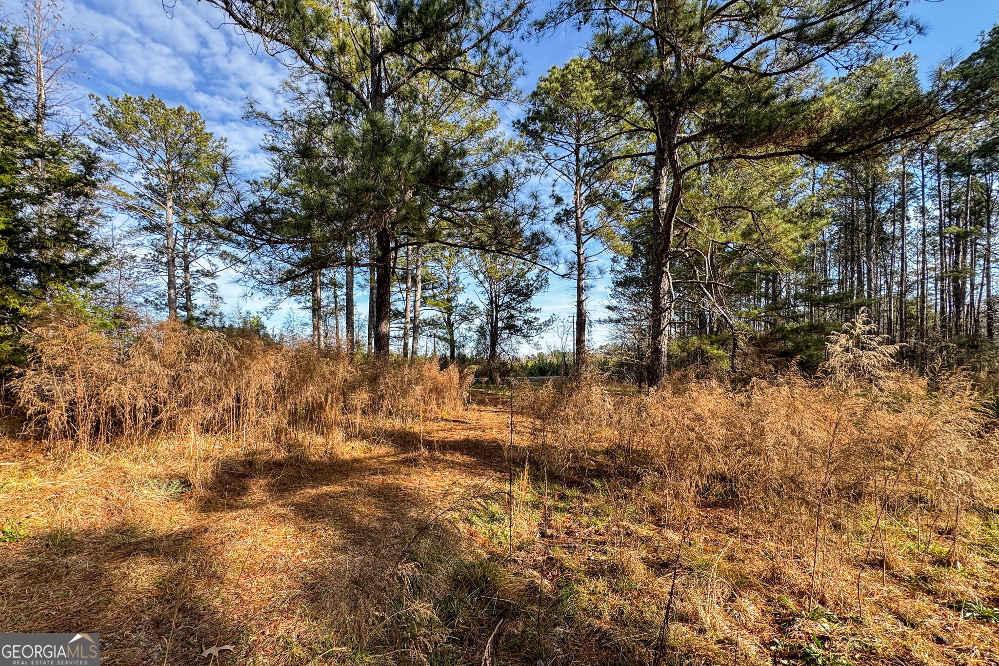 380 Buster Brown Road Jackson, GA 30233 - Photo 11 of 19