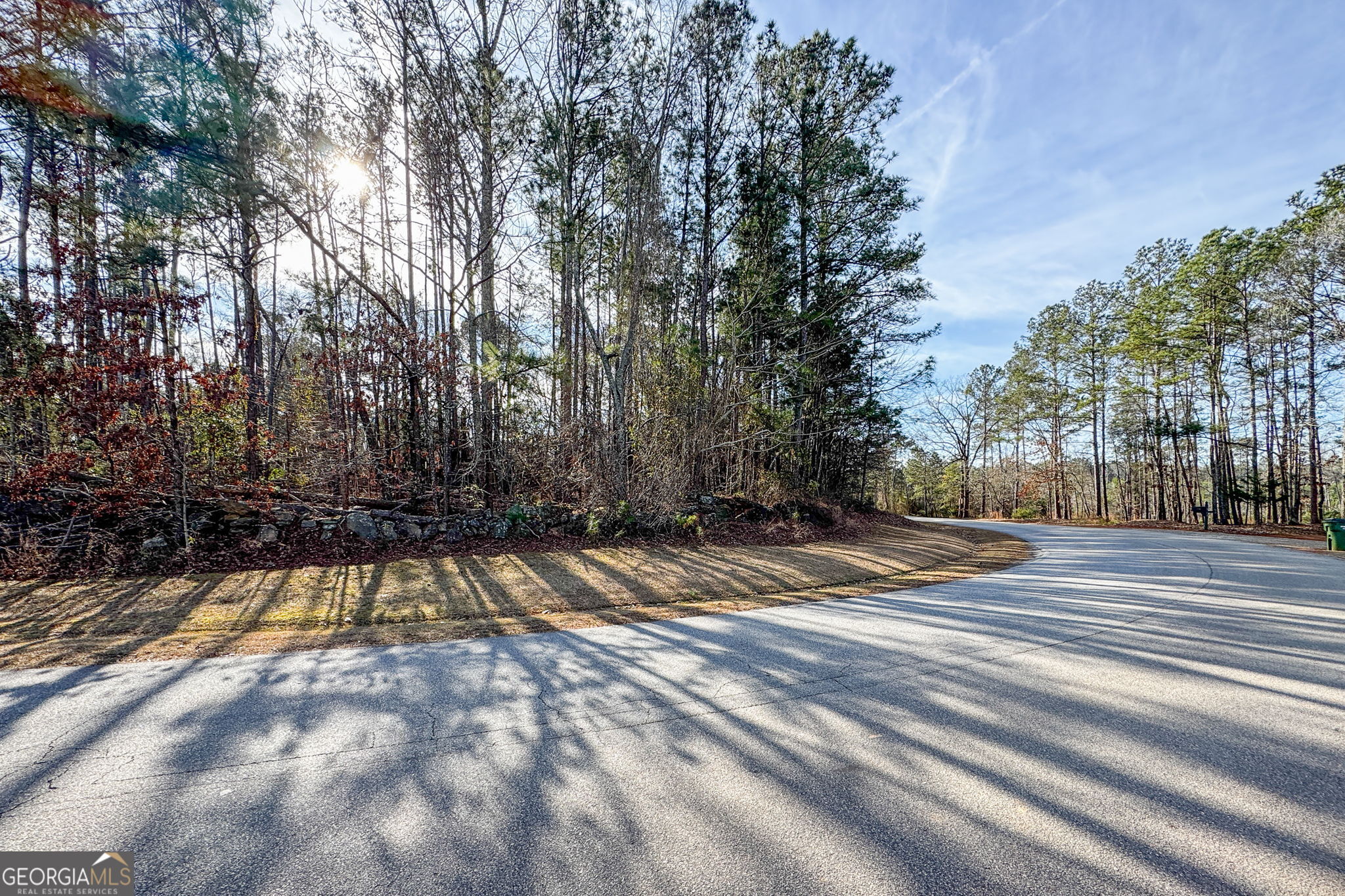 380 Buster Brown Road Jackson, GA 30233 - Photo 15 of 19