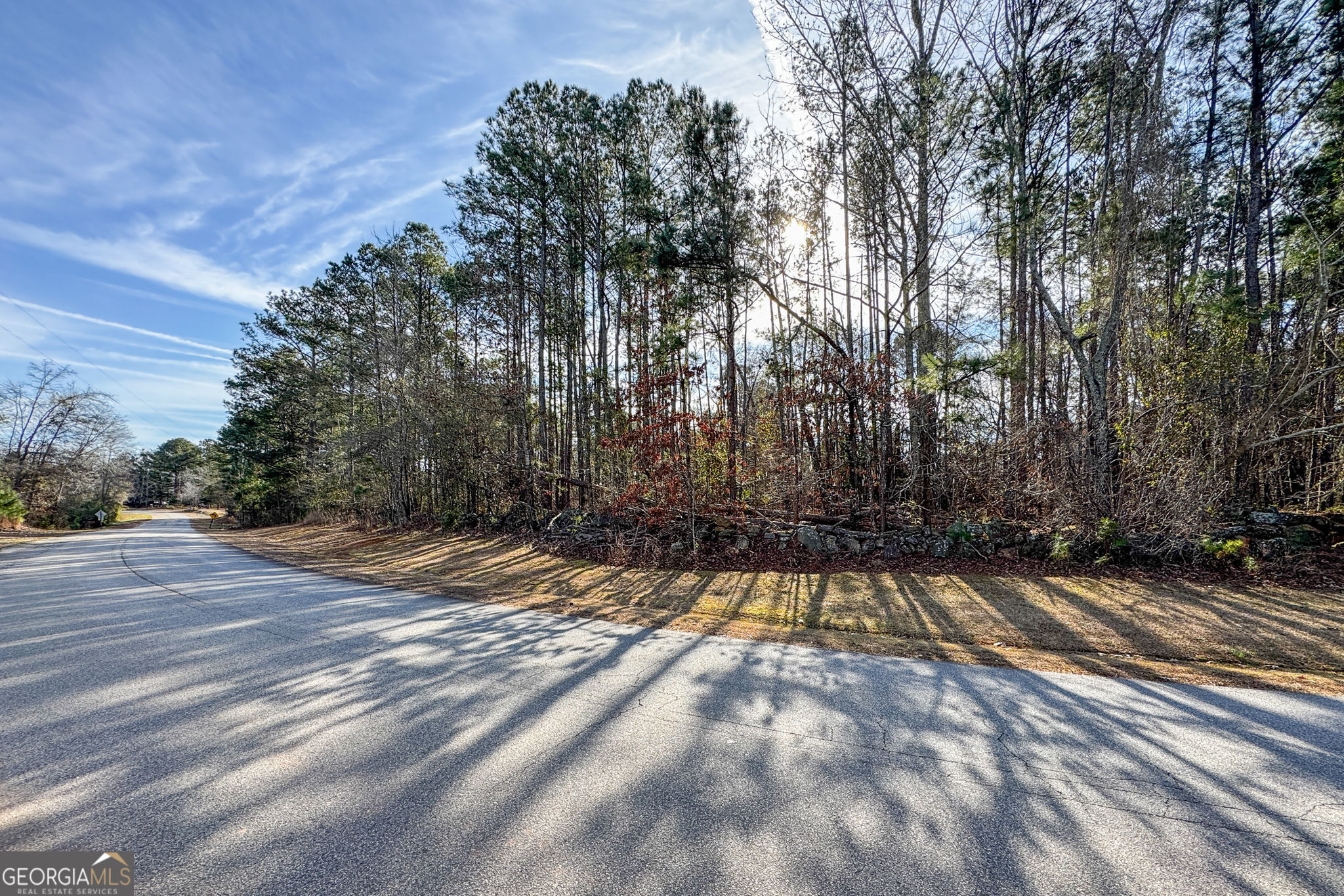 380 Buster Brown Road Jackson, GA 30233 - Photo 16 of 19