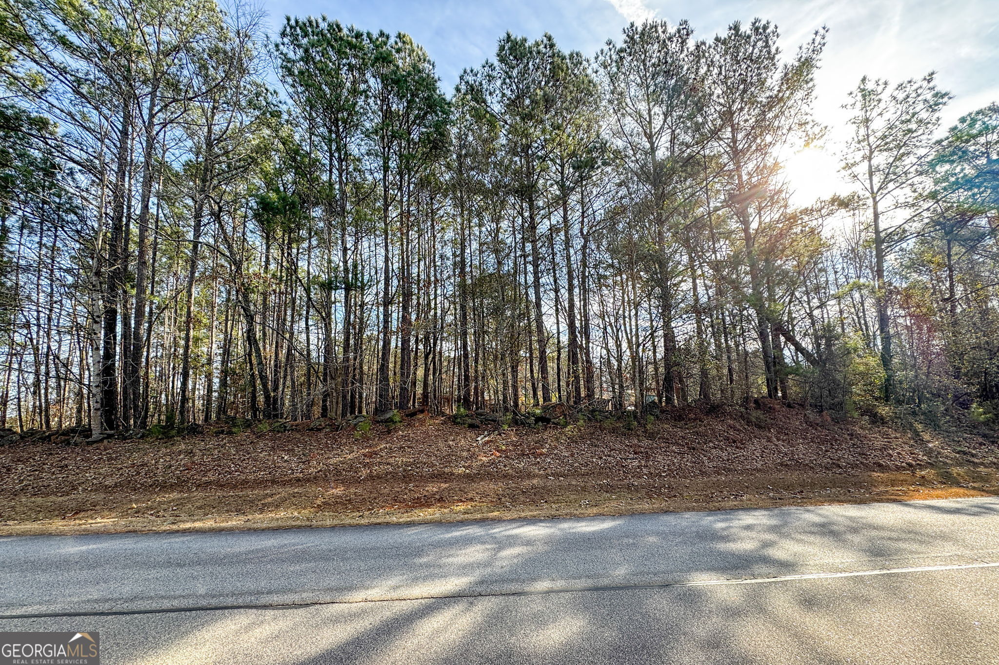 380 Buster Brown Road Jackson, GA 30233 - Photo 17 of 19