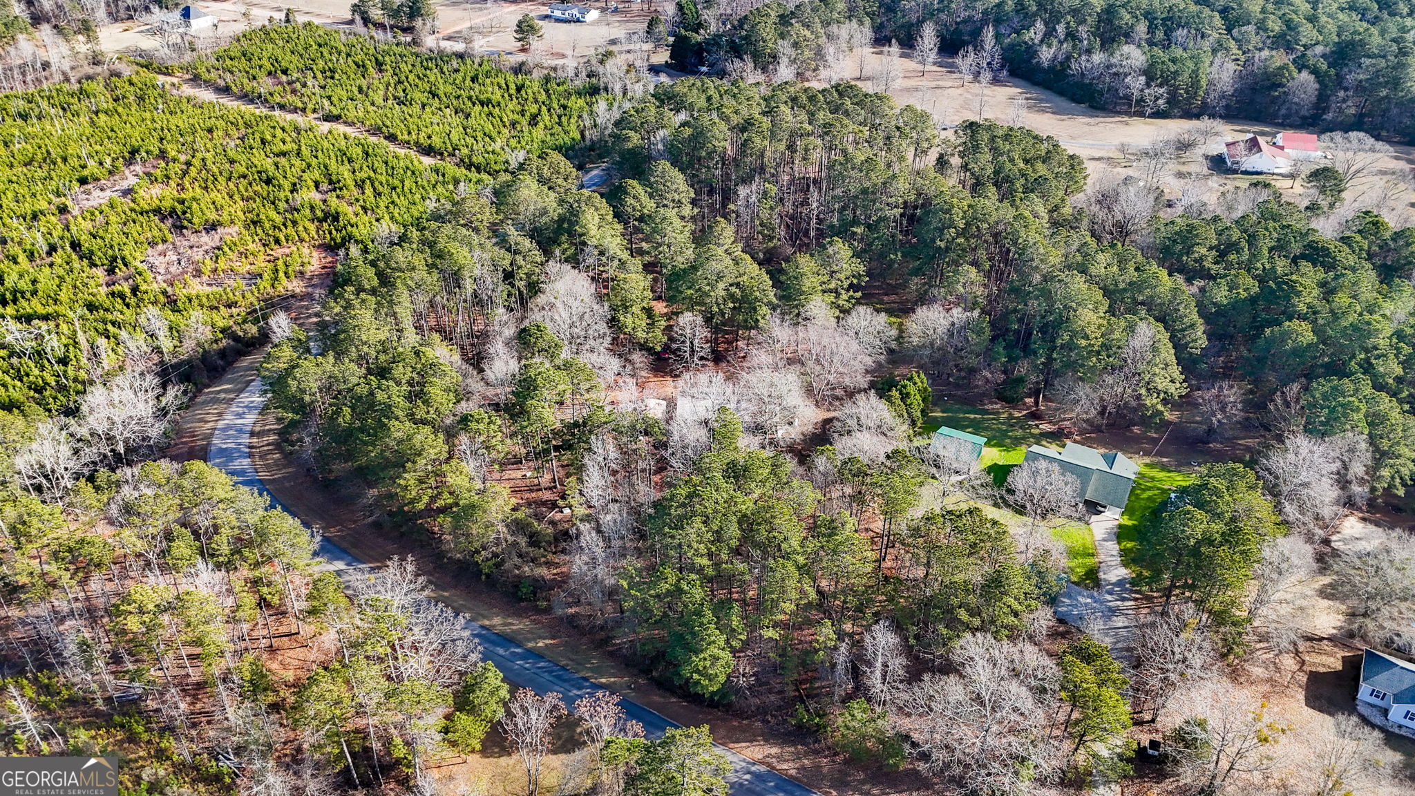 380 Buster Brown Road Jackson, GA 30233 - Photo 4 of 19