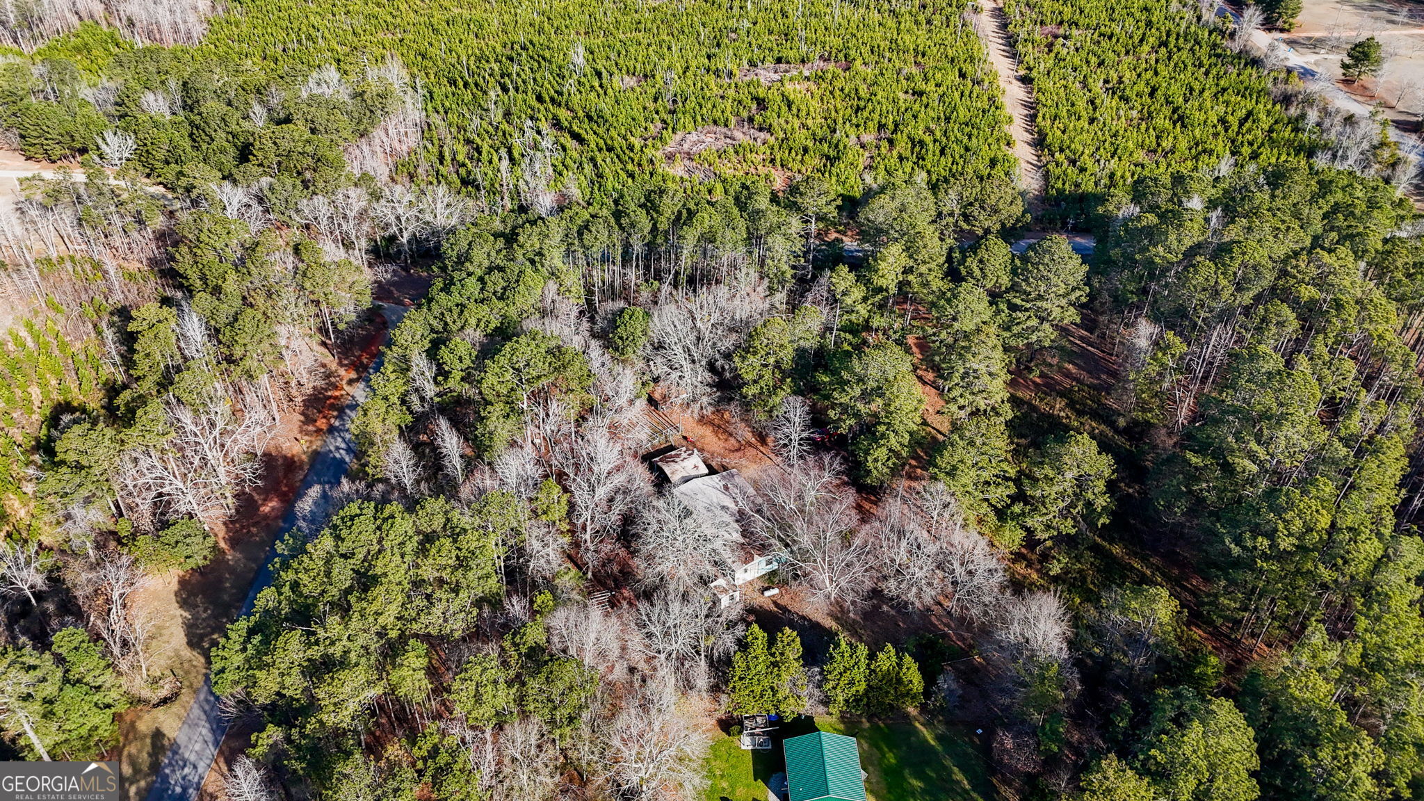 380 Buster Brown Road Jackson, GA 30233 - Photo 5 of 19