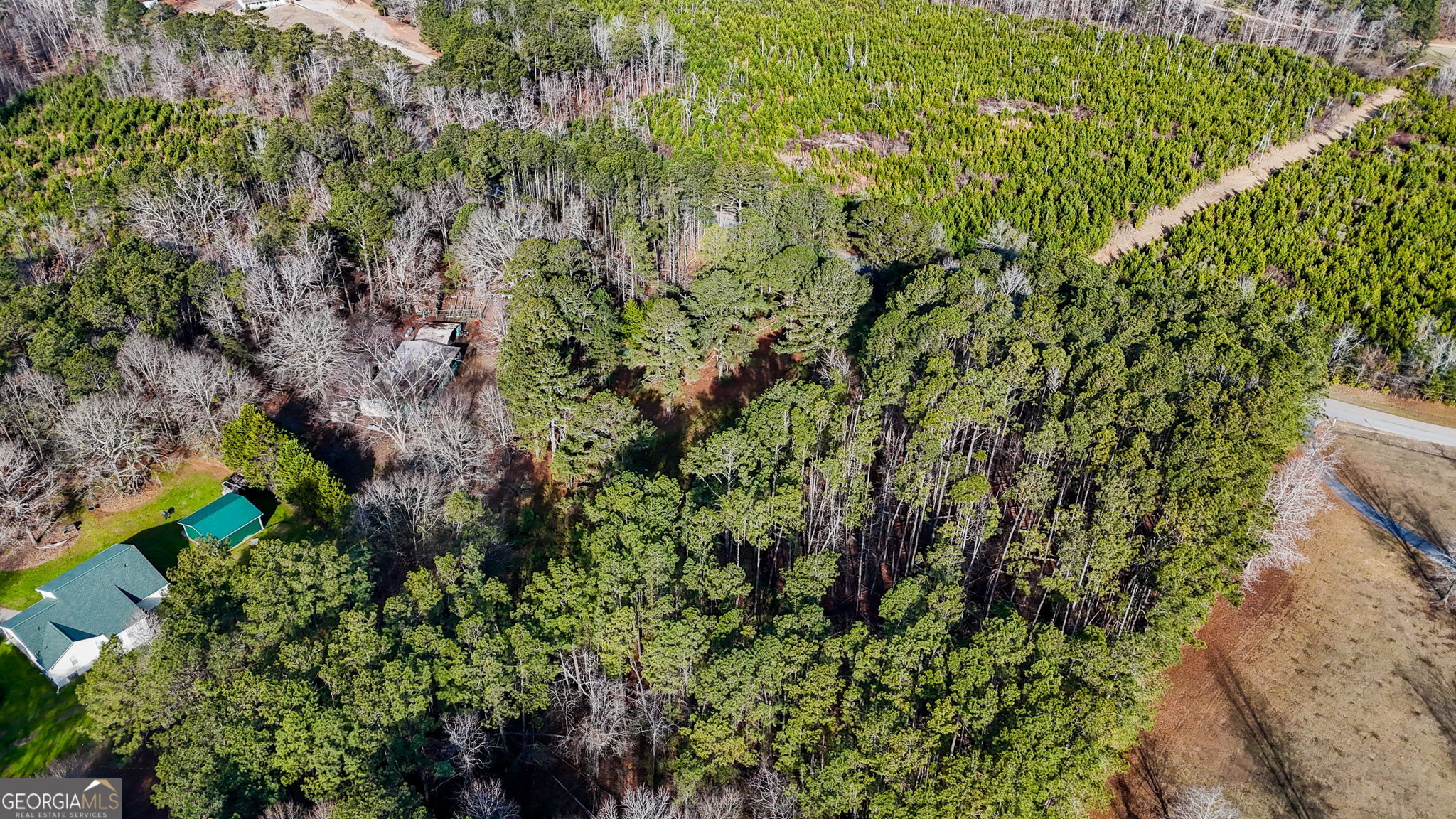 380 Buster Brown Road Jackson, GA 30233 - Photo 6 of 19