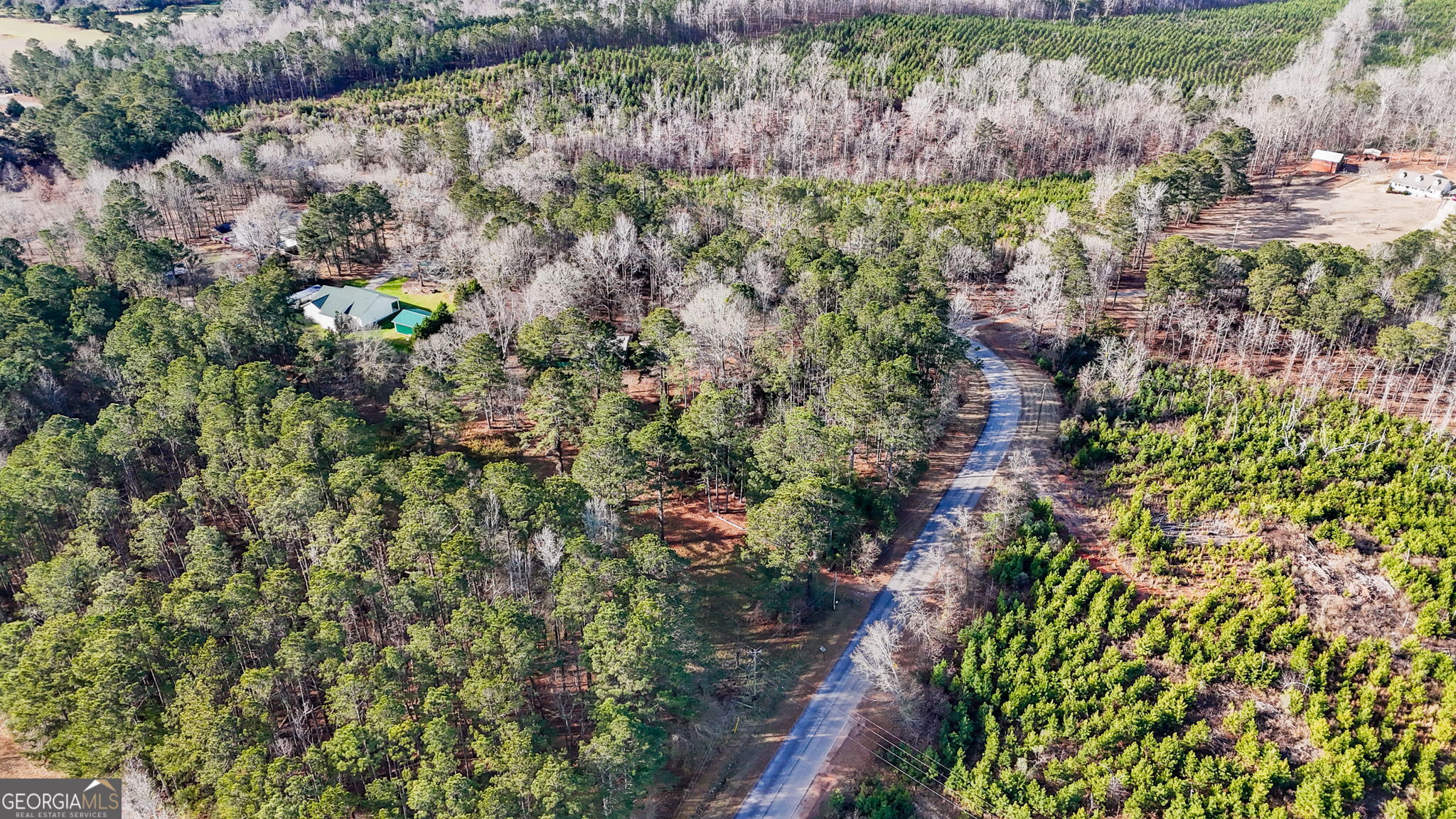 380 Buster Brown Road Jackson, GA 30233 - Photo 7 of 19