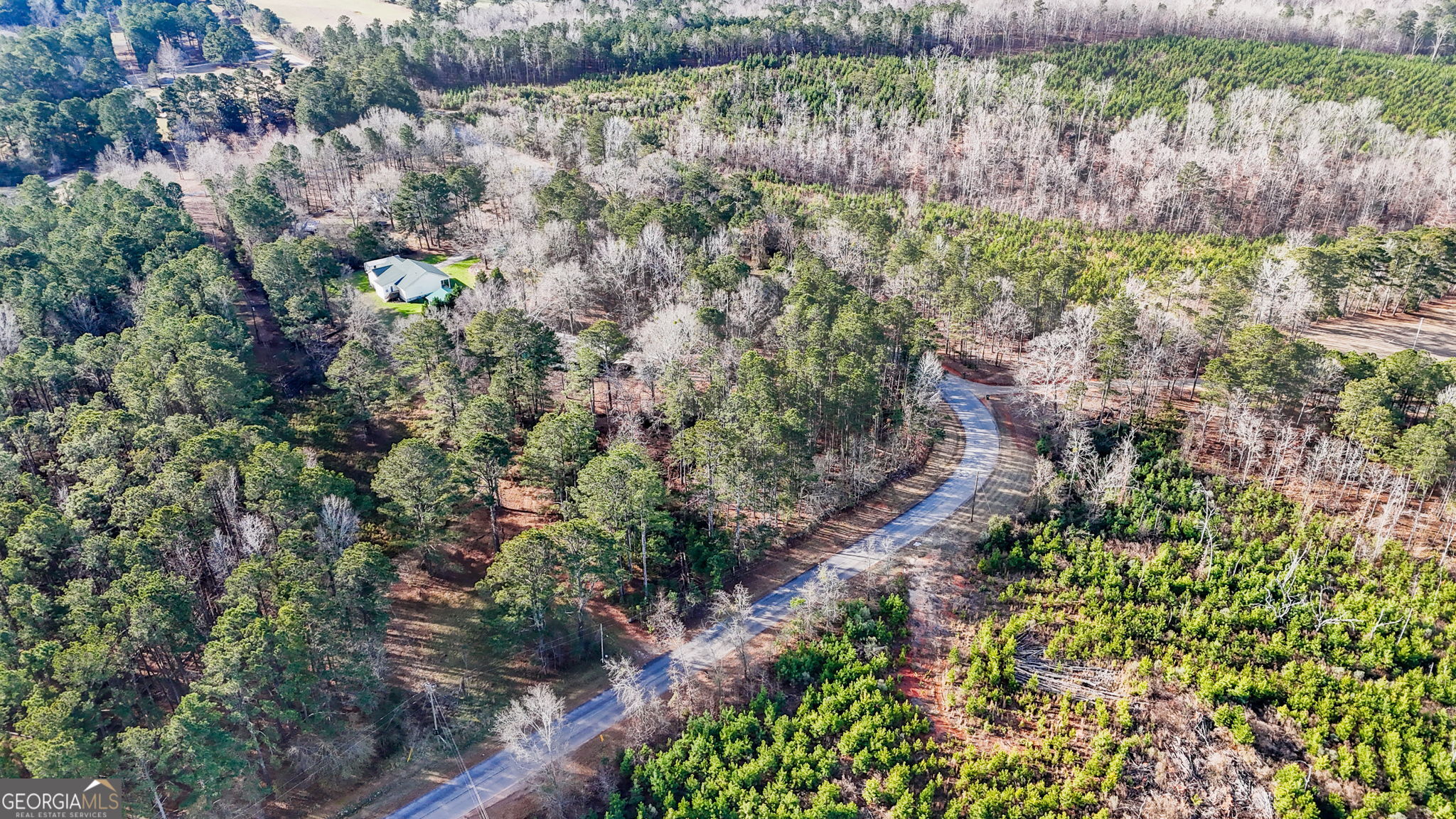 380 Buster Brown Road Jackson, GA 30233 - Photo 8 of 19