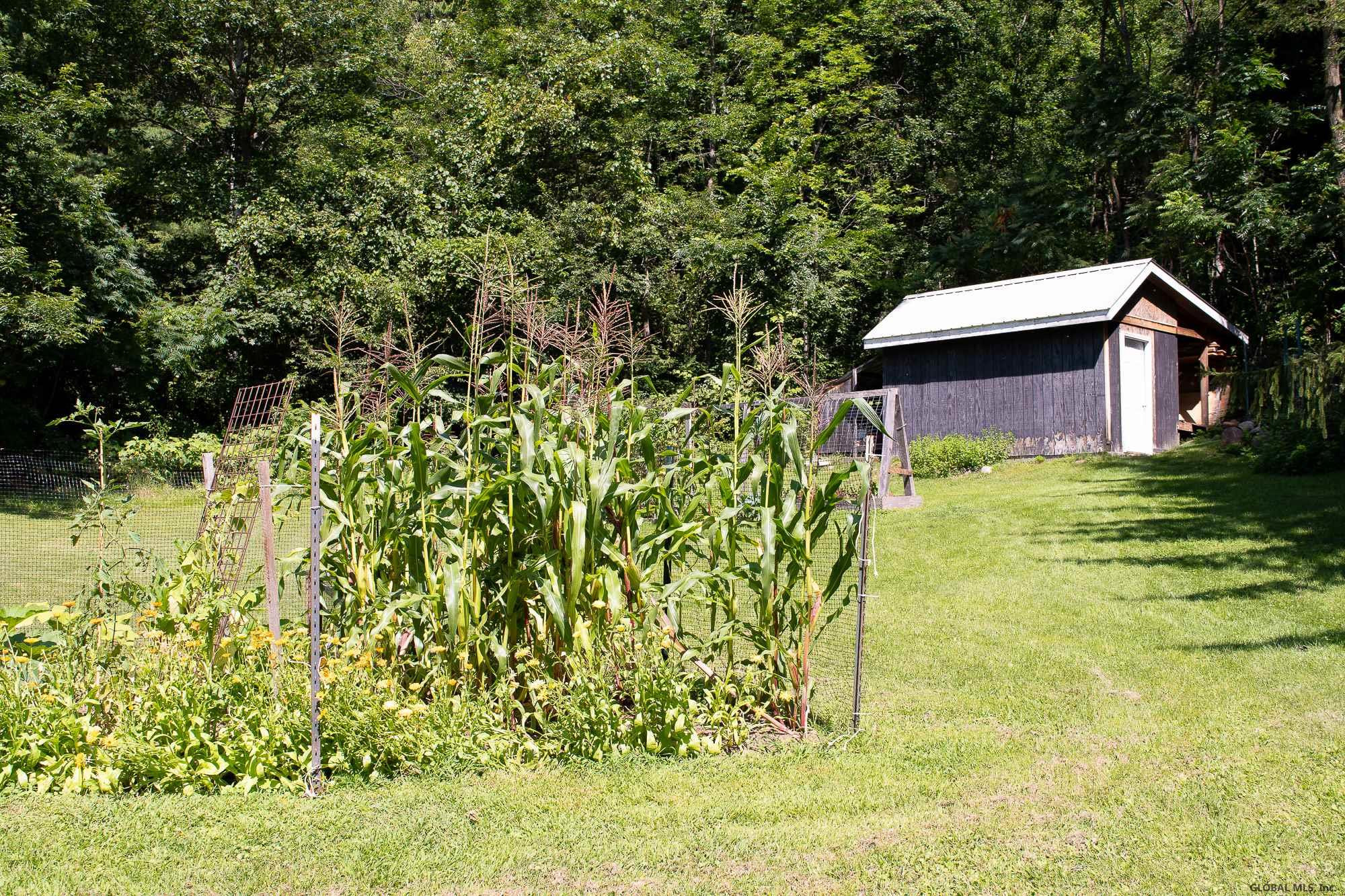 26 Switchback Road Moriah, NY 12974 - Photo 36 of 36 Photo 36