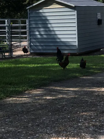 a view of a back yard