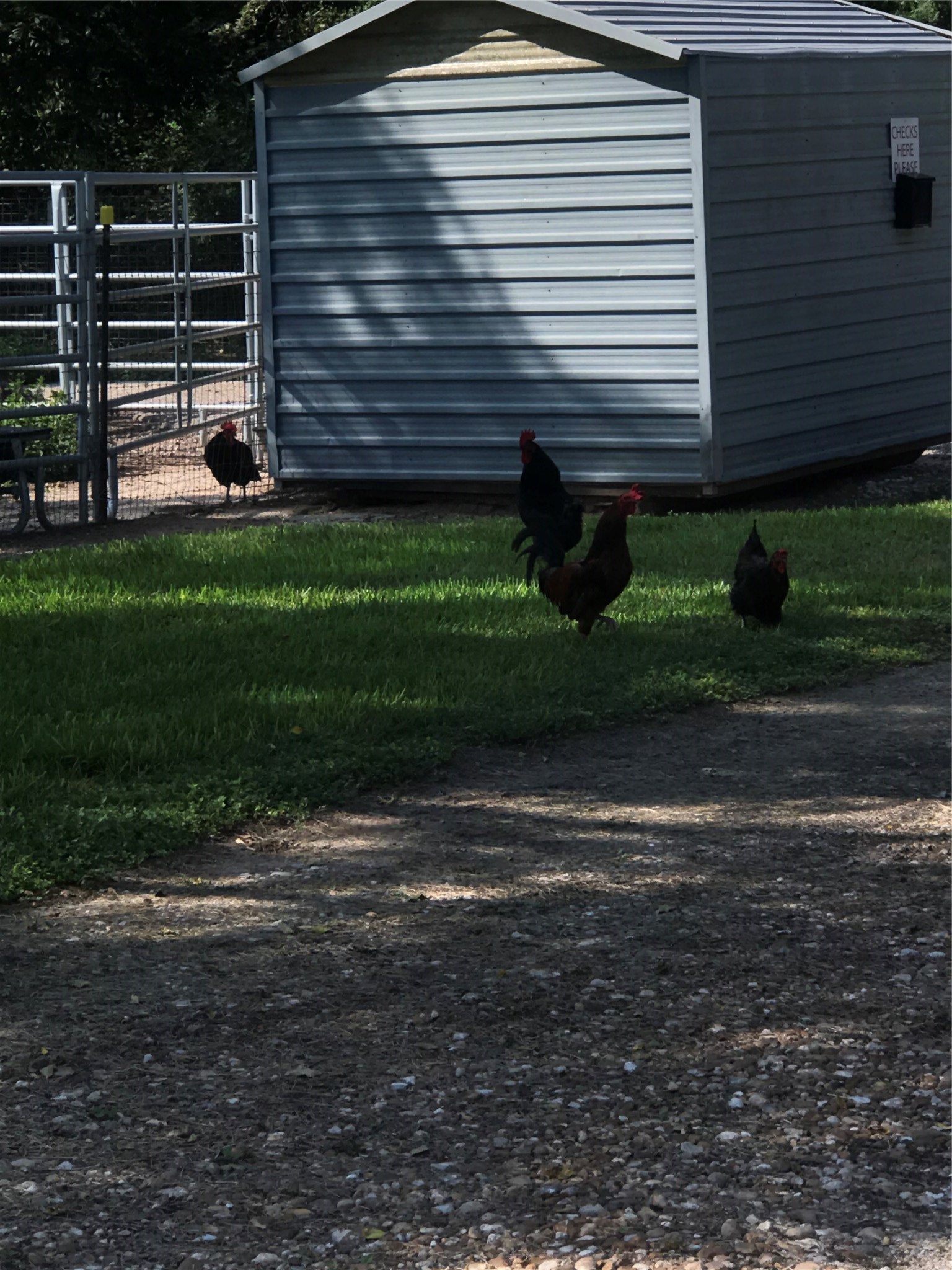2443 Precinct Line Road Richmond, TX 77406 - Photo 16 of 17 a view of a back yard