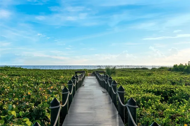 a view of a road with an ocean beach