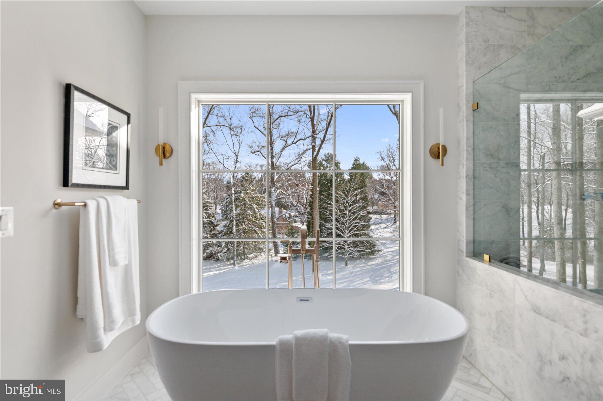 8423 Brook Road McLean, VA 22102 - Photo 59 of 106