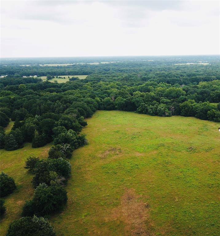 0 C R 1115 Bonham, TX 75418 - Photo 6 of 13