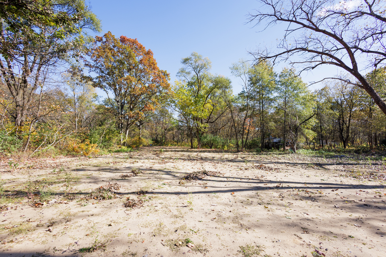 1581 South 16000E Road Pembroke Township, IL 60958 - Photo 24 of 24 a view of a yard with trees