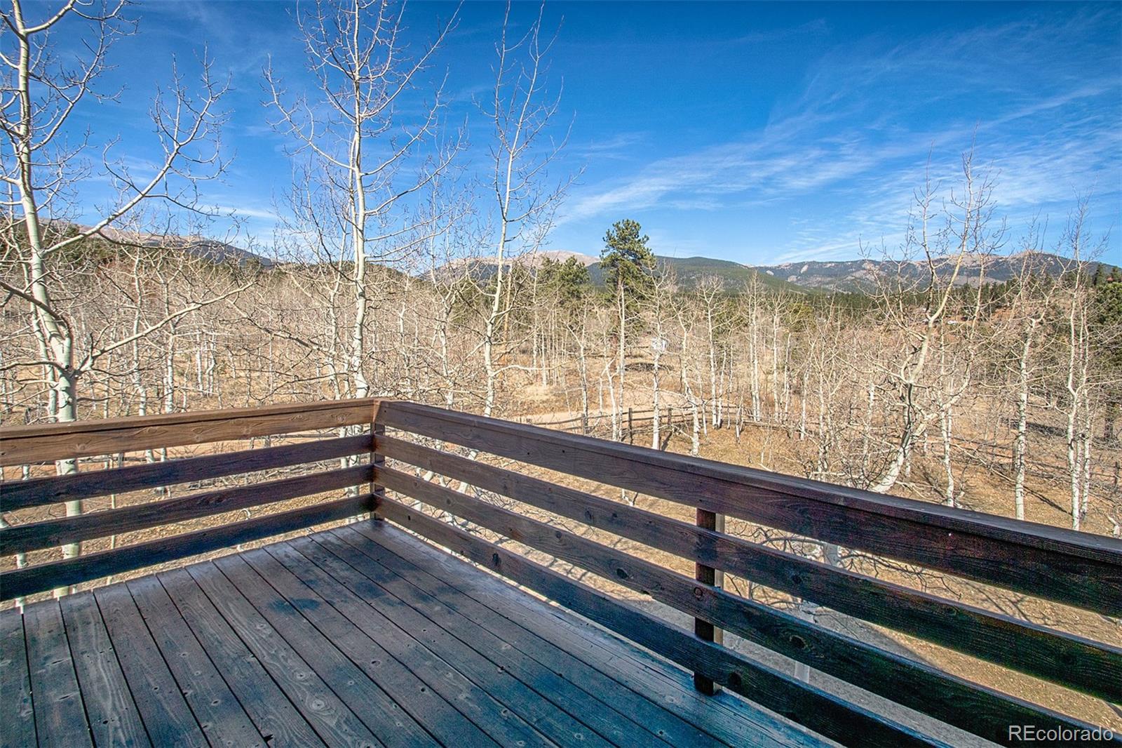 214 Snow Water Road Bailey, CO 80421 - Photo 29 of 35