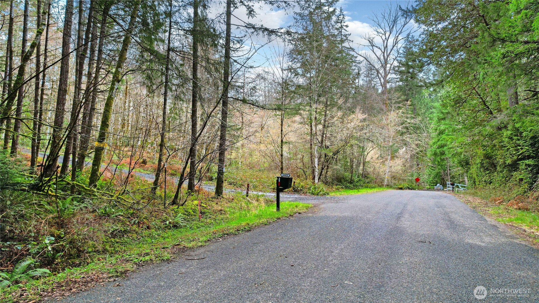 5118 Key Peninsula Highway Southwest Longbranch, WA 98351 - Photo 13 of 19 a view of road and trees