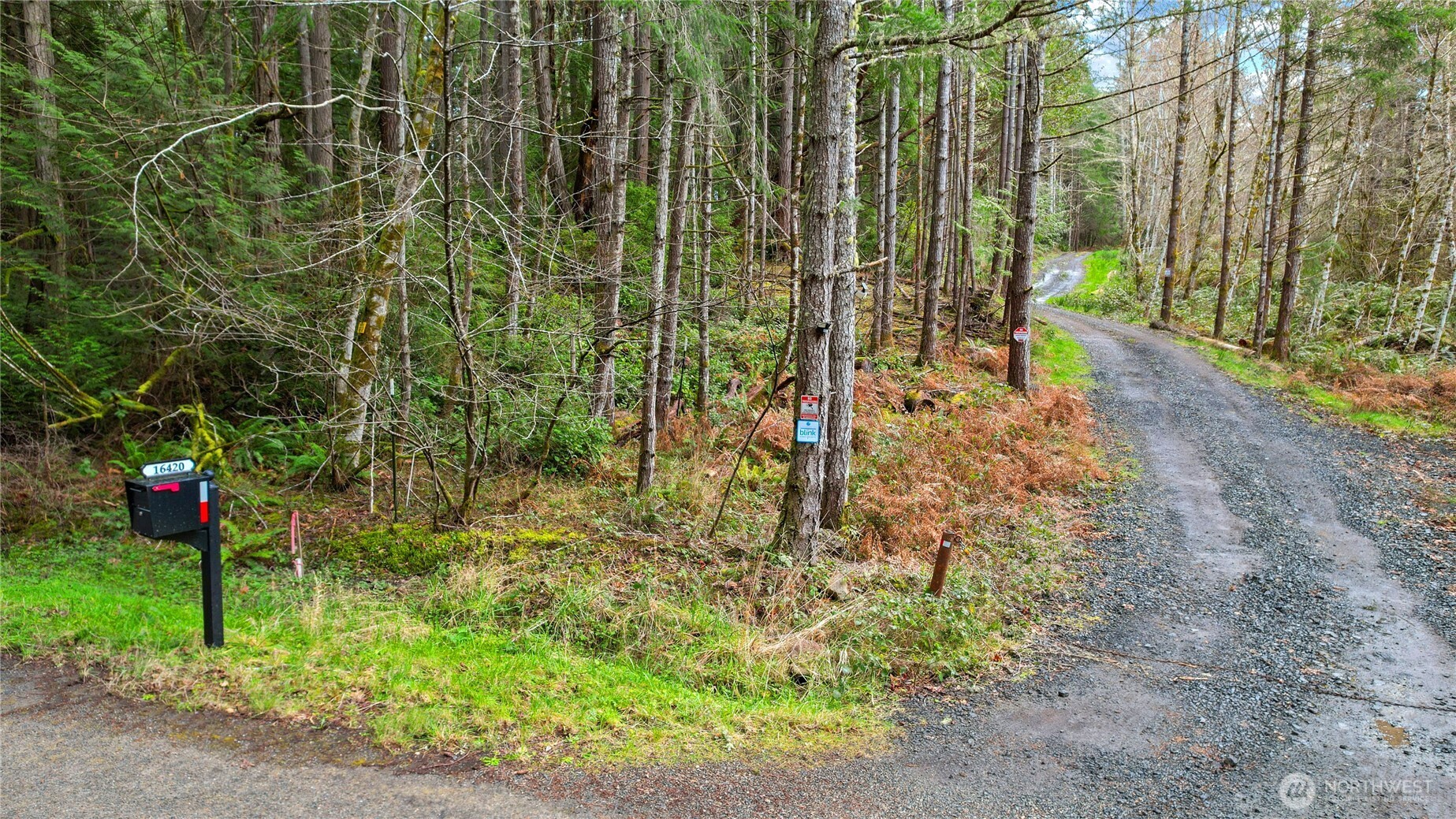 5118 Key Peninsula Highway Southwest Longbranch, WA 98351 - Photo 14 of 19 a backyard of a house with lots of green space and plants