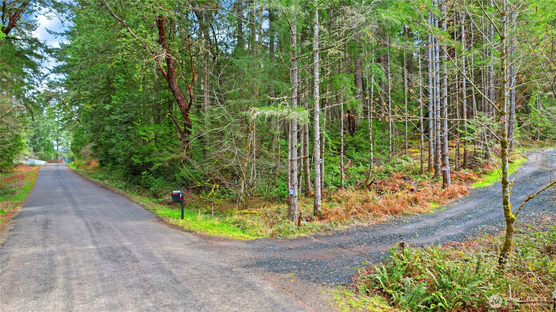 5118 Key Peninsula Highway Southwest Longbranch, WA 98351 - Photo 16 of 19 a view of a garden