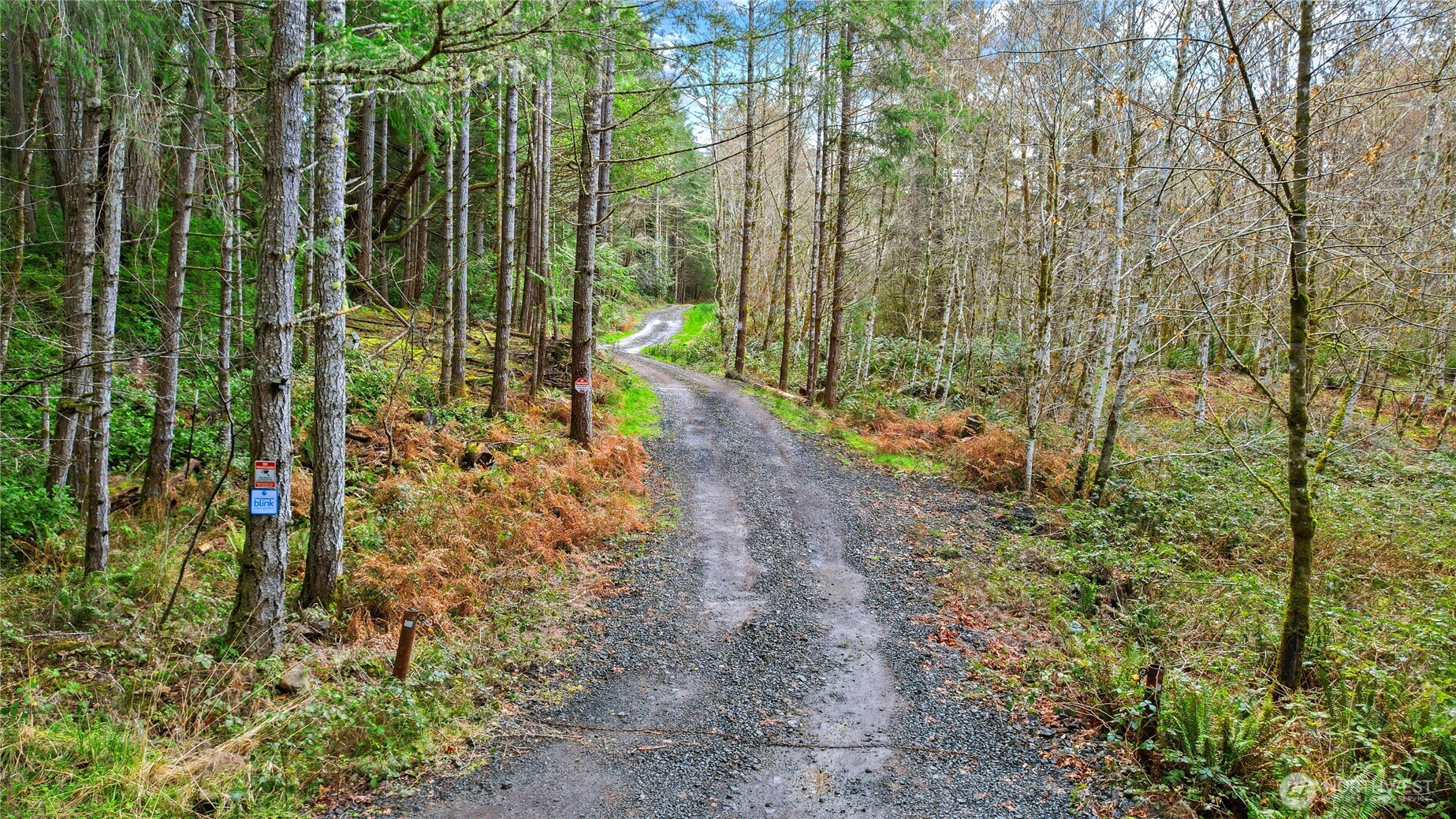 5118 Key Peninsula Highway Southwest Longbranch, WA 98351 - Photo 17 of 19 a view of a garden with large trees