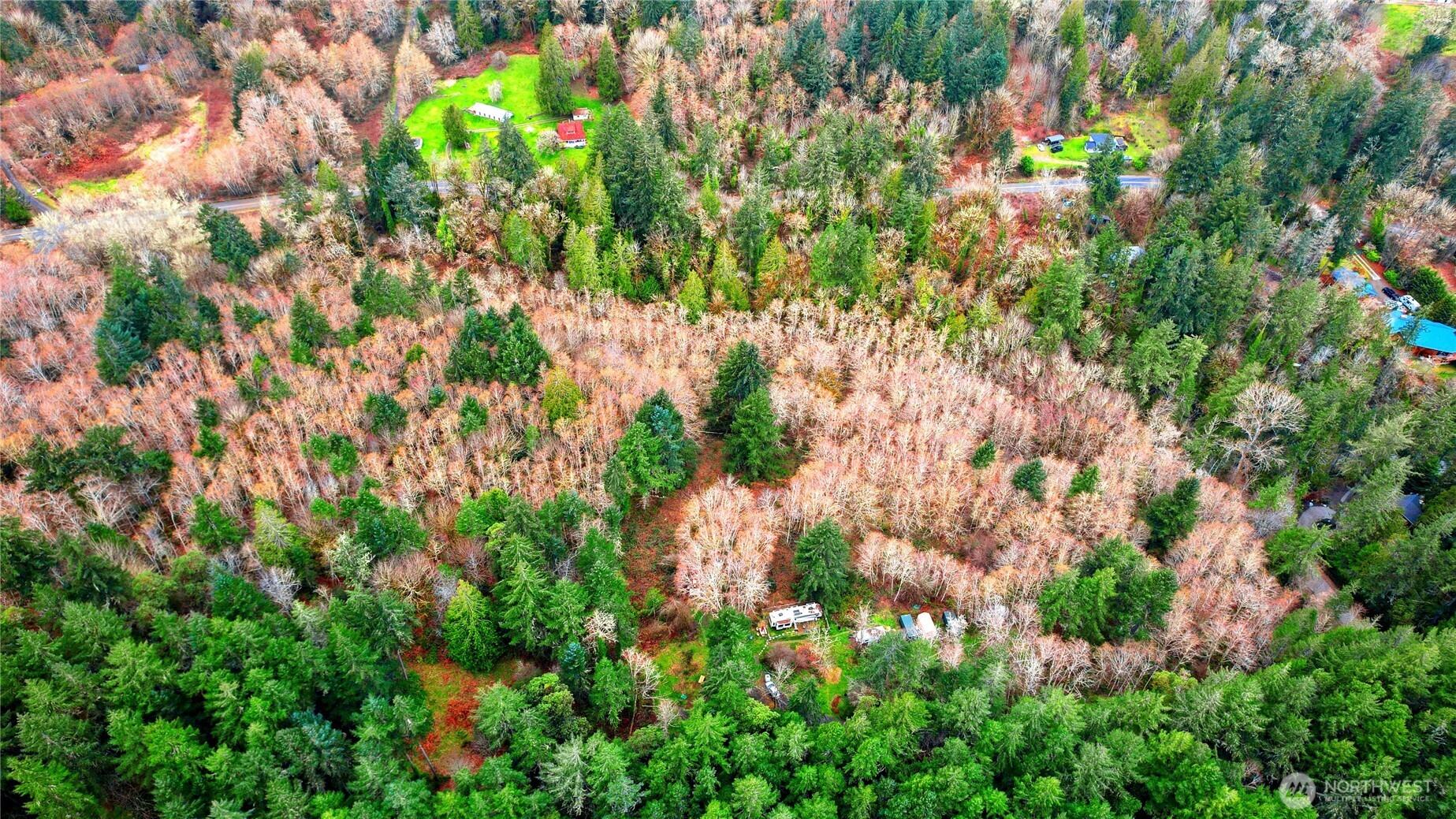 5118 Key Peninsula Highway Southwest Longbranch, WA 98351 - Photo 6 of 19