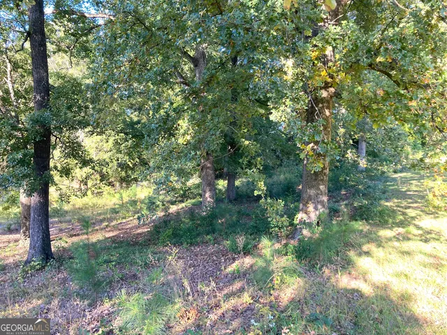 a view of a yard with plants and a tree