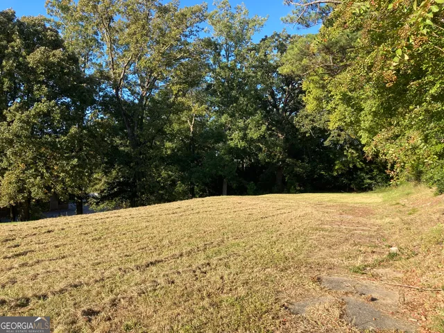 a view of outdoor space and yard