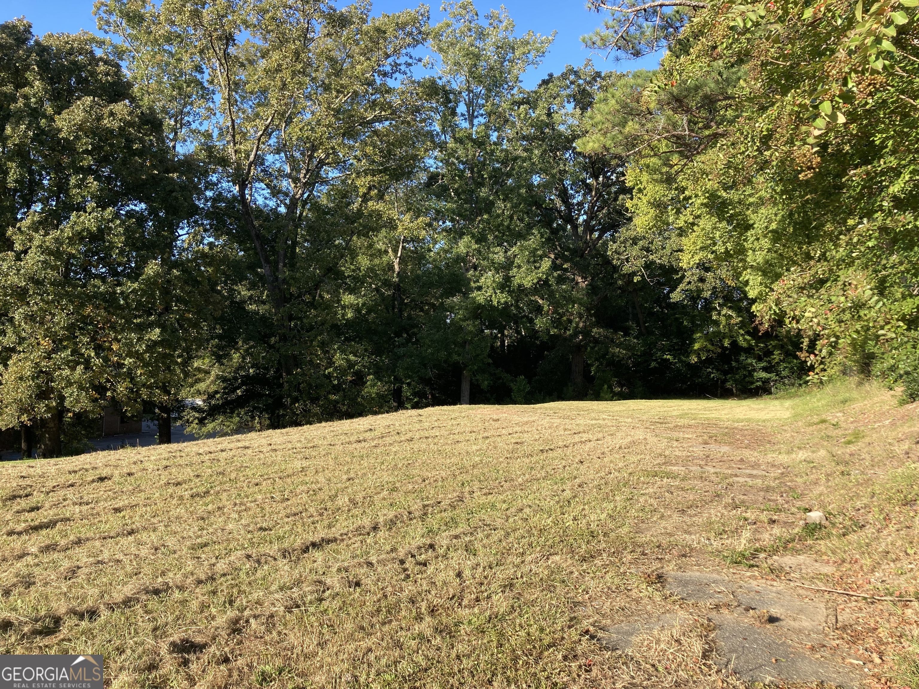 6817 Whitesville Road Columbus, GA 31904 - Photo 7 of 11 a view of outdoor space and yard