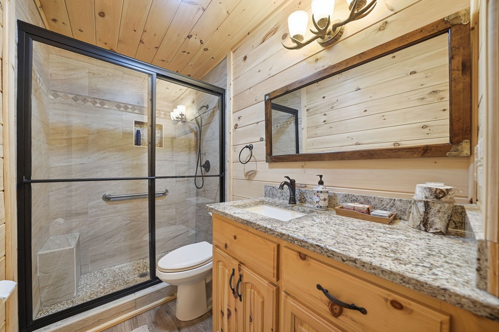 478 Cohutta Mountain Road Blue Ridge, GA 30513 - Photo 22 of 47 a bathroom with a granite countertop sink a toilet and shower