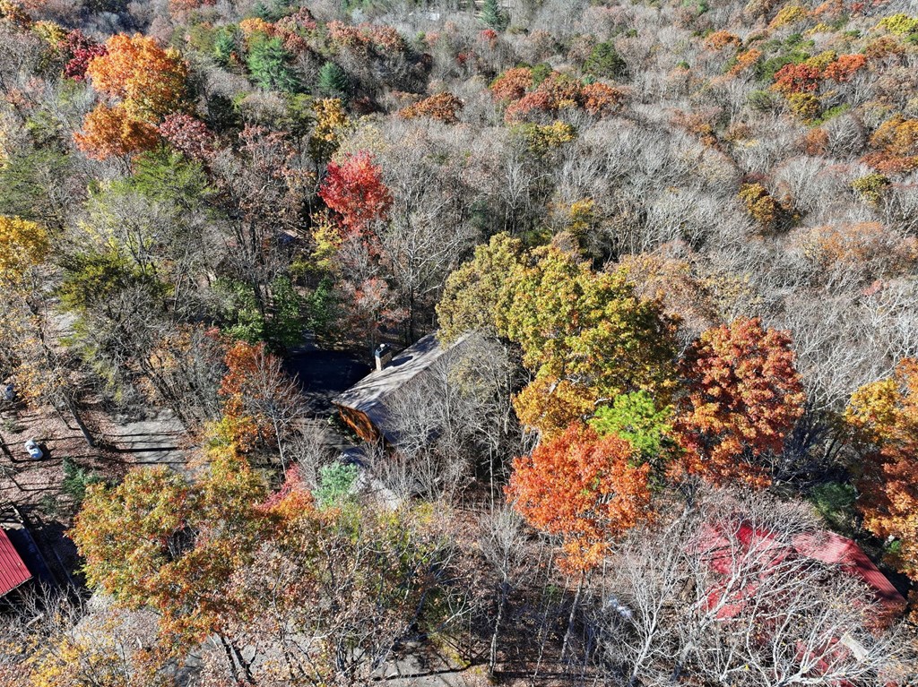 478 Cohutta Mountain Road Blue Ridge, GA 30513 - Photo 35 of 47
