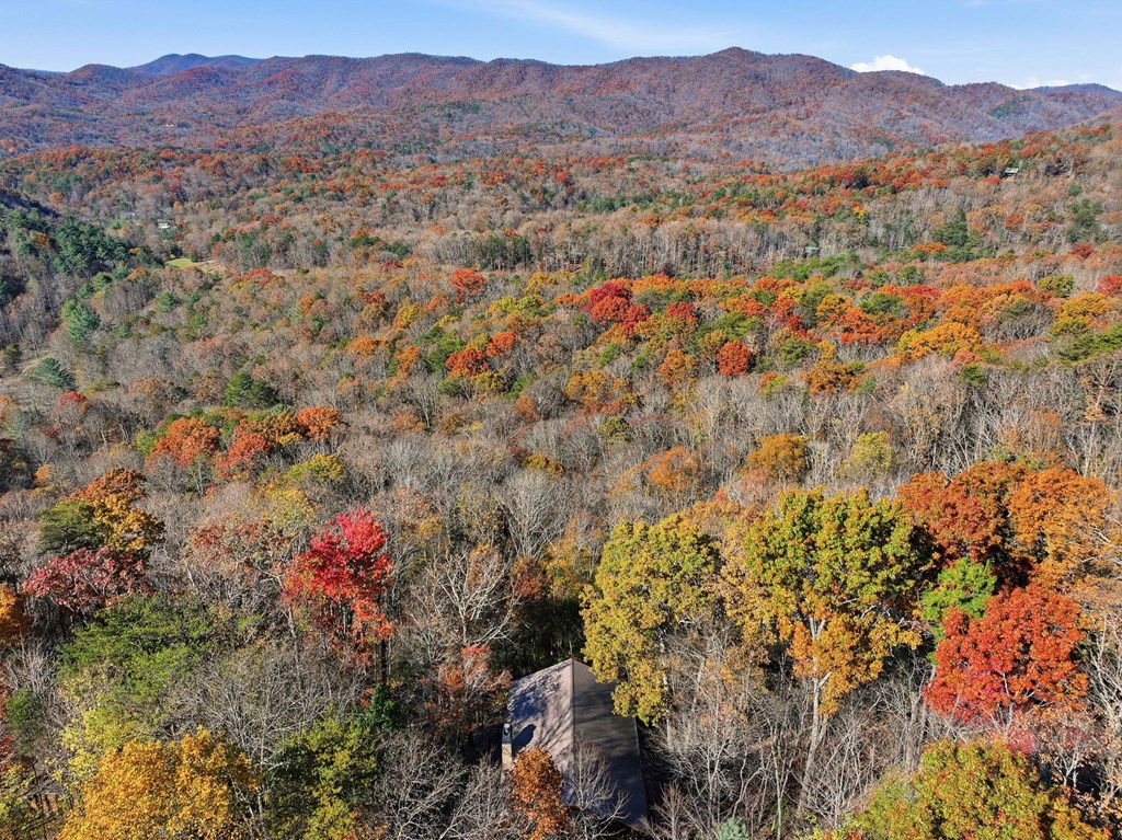 478 Cohutta Mountain Road Blue Ridge, GA 30513 - Photo 36 of 47 a view of city and mountain