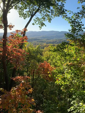 $674,900 | 478 Cohutta Mountain Road, Blue Ridge, GA 30513