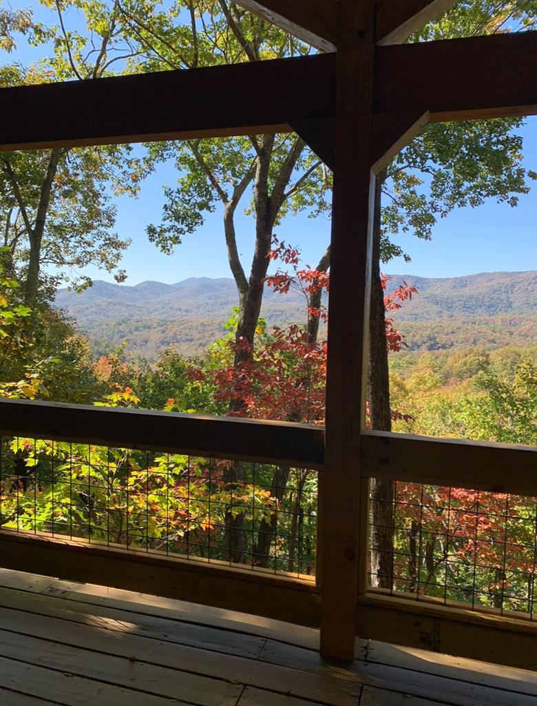 478 Cohutta Mountain Road Blue Ridge, GA 30513 - Photo 39 of 47 a view of sky from a window
