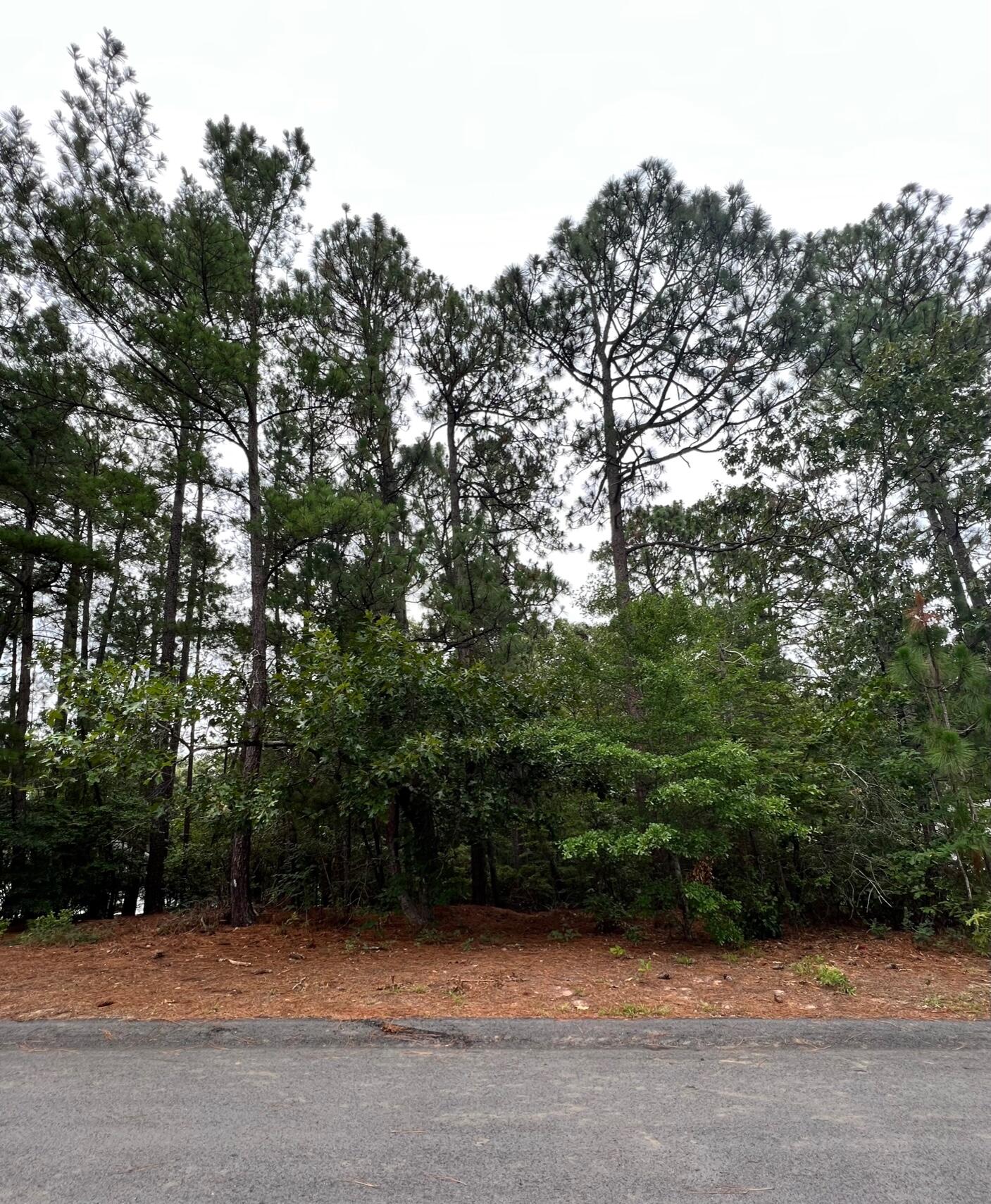 2666 Ramblewood Road Aiken, SC 29803 - Photo 2 of 6