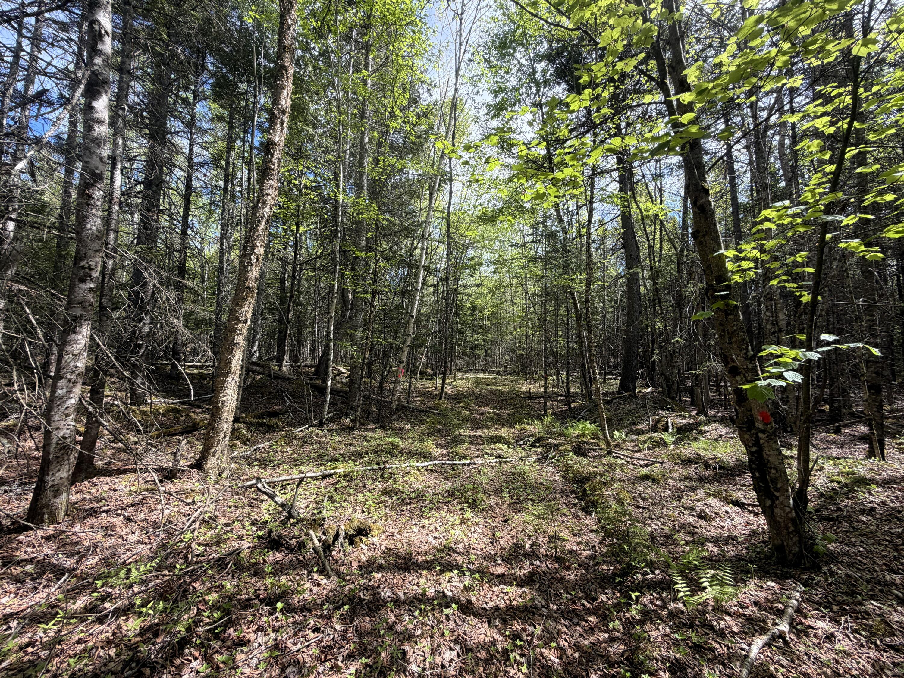 59 High Head Road East Machias, ME 04630 - Photo 10 of 11 59 HIGH HEAD RD 8