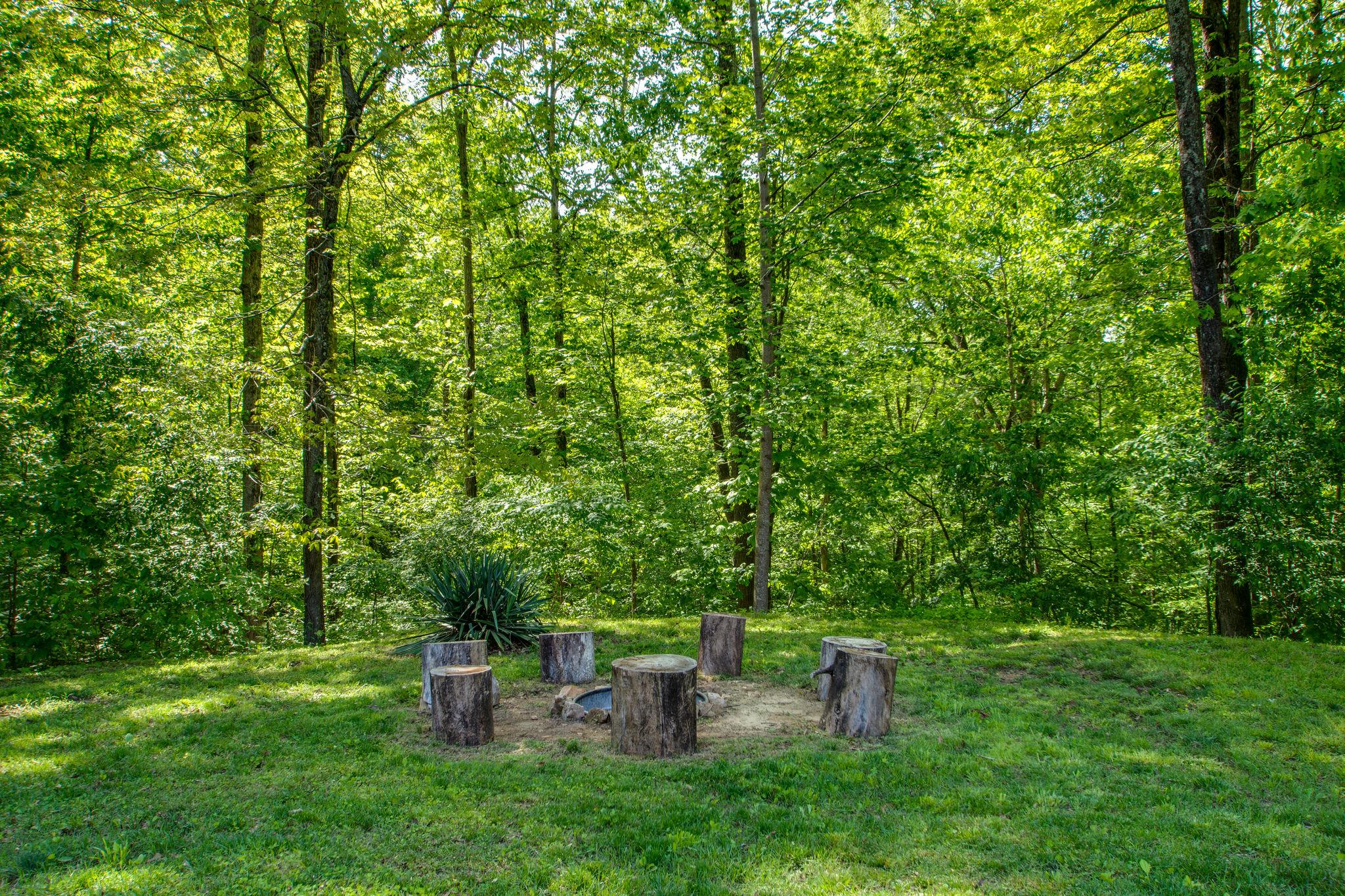 1017 Deer Ridge Road Kingston Springs, TN 37082 - Photo 28 of 29 a green field with lots of trees in it