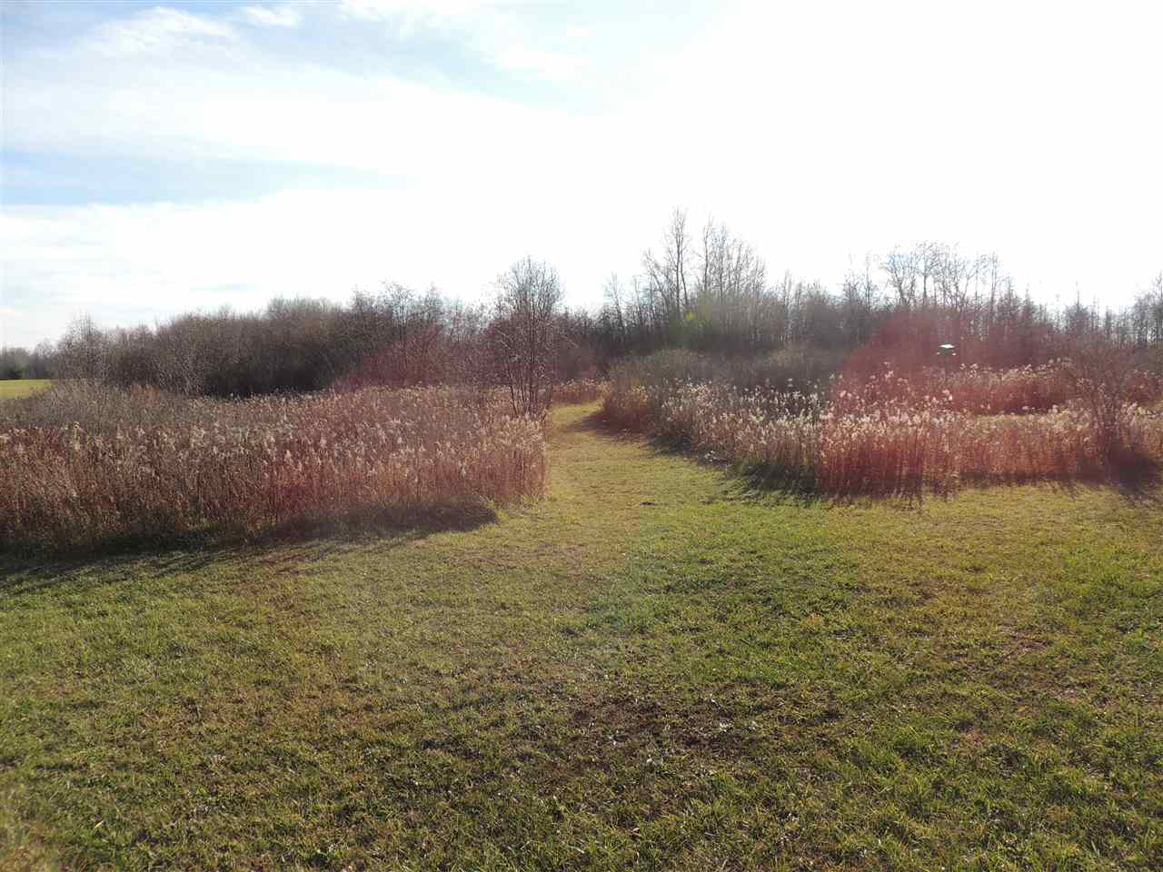 8571 West Battle Road Lake, MI 48632 - Photo 33 of 37 1882485-32.JPG