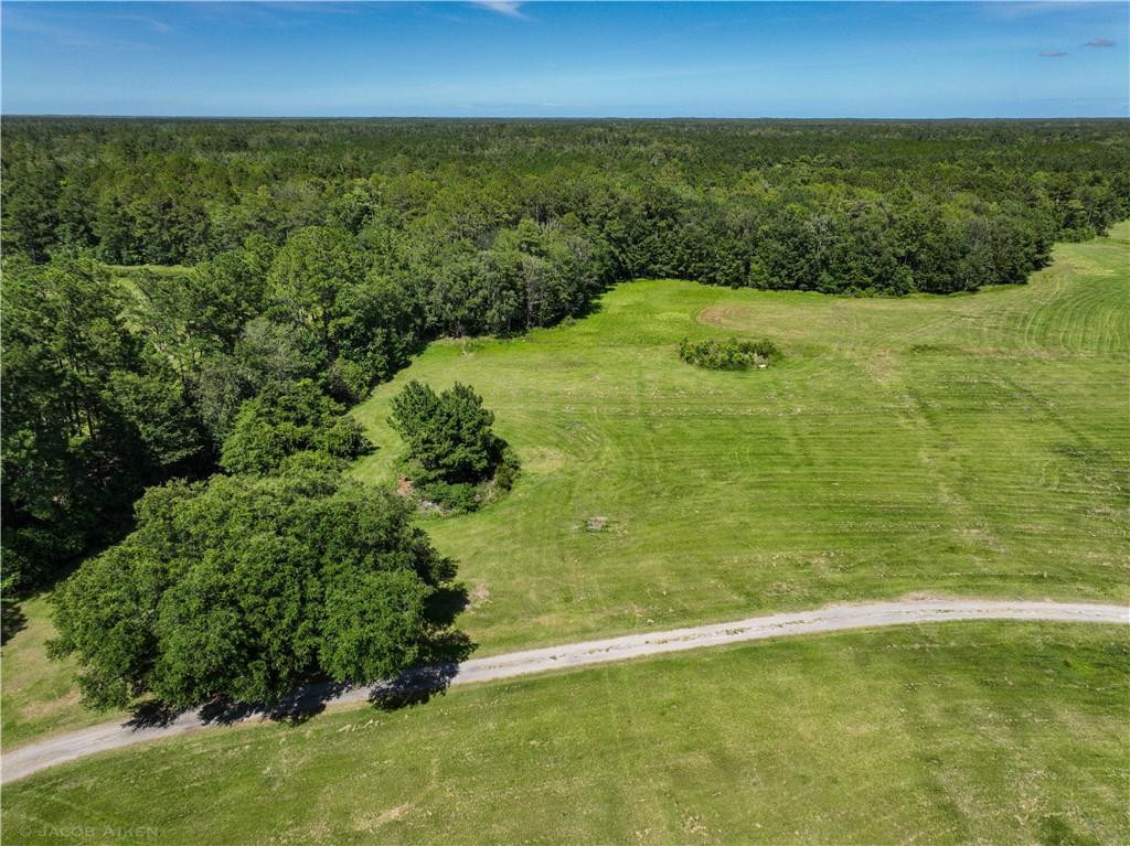 301 Taylor Farm Road Brunswick, GA 31525 - Photo 1 of 1 Gallery Image 1