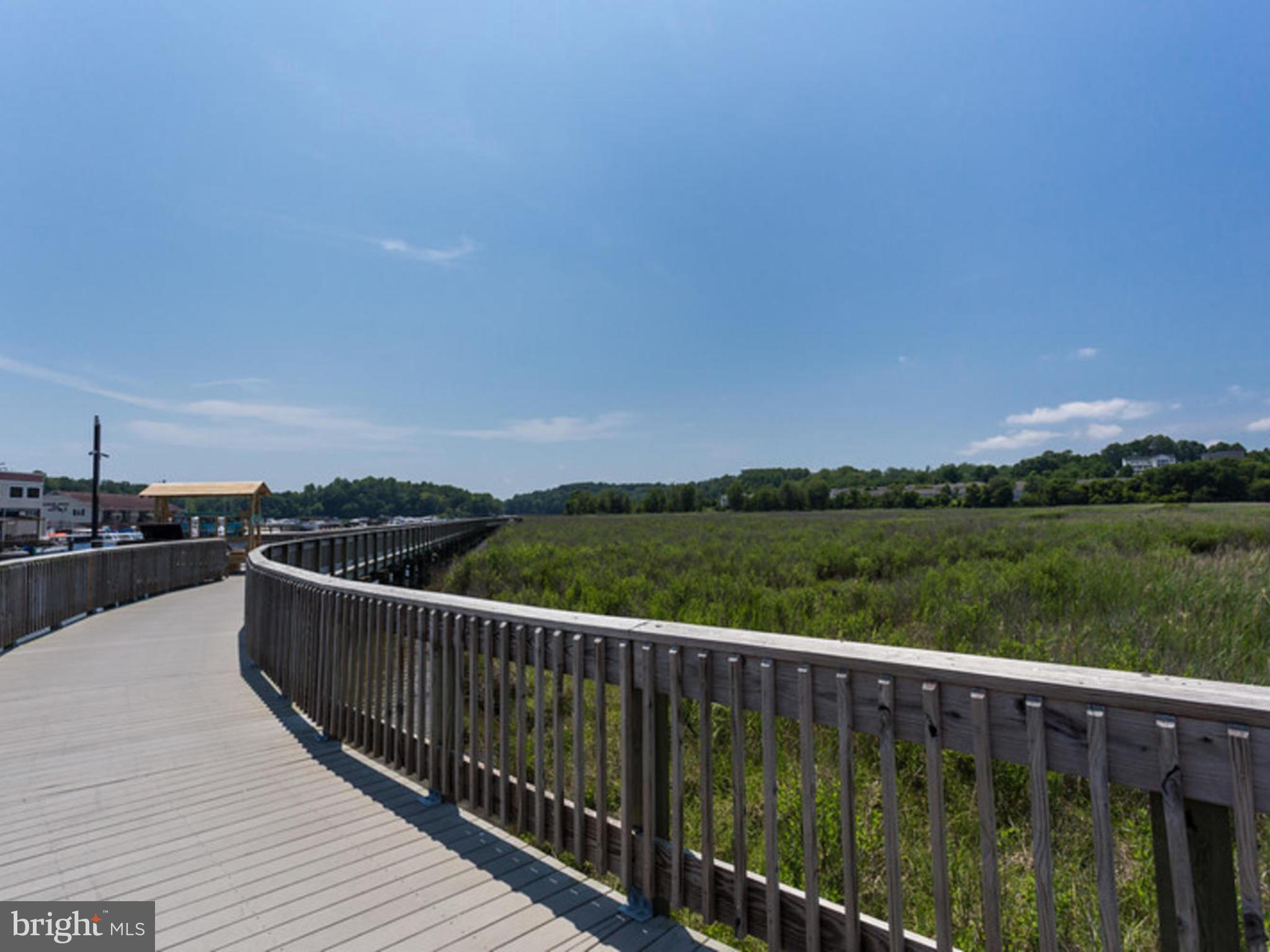 8022 Forest Ridge Drive, Unit 4 Chesapeake Beach, MD 20732 - Photo 27 of 32 Miles of Nature Trail off back of subdivision