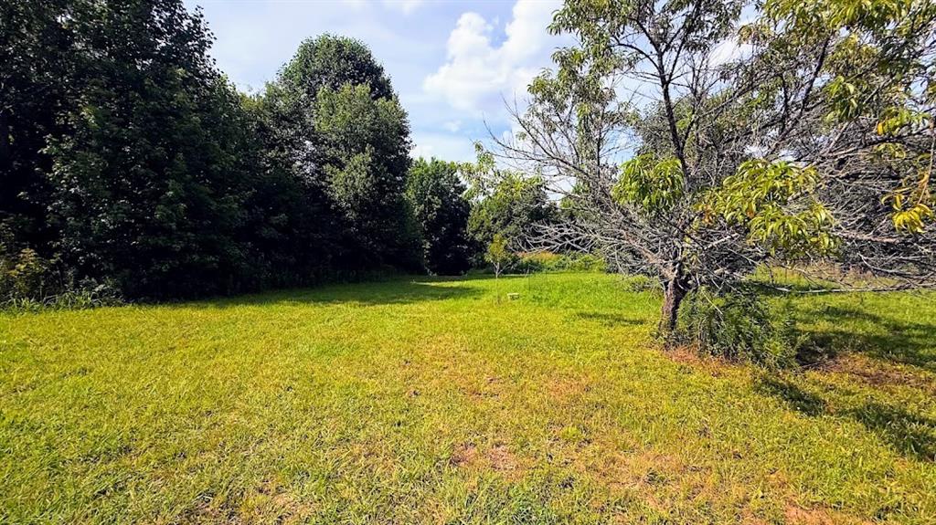 380 Nix Road Bremen, GA 30110 - Photo 2 of 14