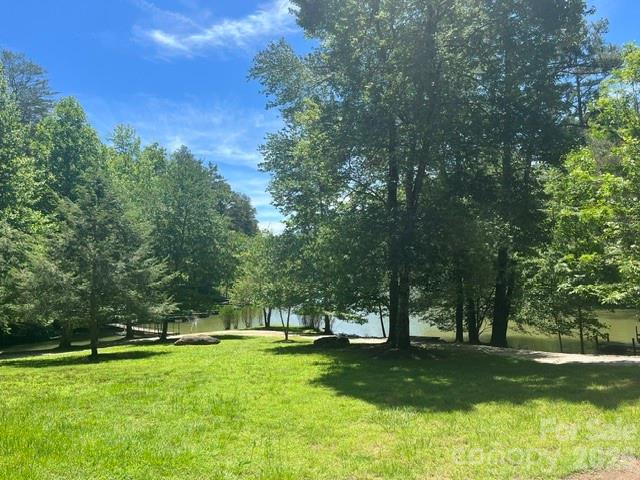 Lot 17-4 North Coast Dr Mill Spring Mill Spring, NC 28756 - Photo 11 of 14 a view of a park with large trees