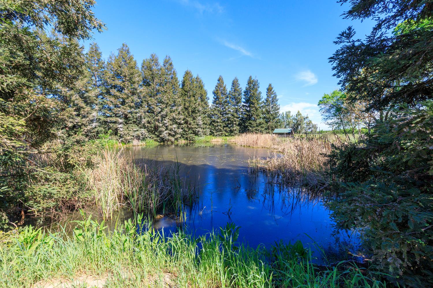 3401 Bogue Road Denair, CA 95316 - Photo 60 of 65