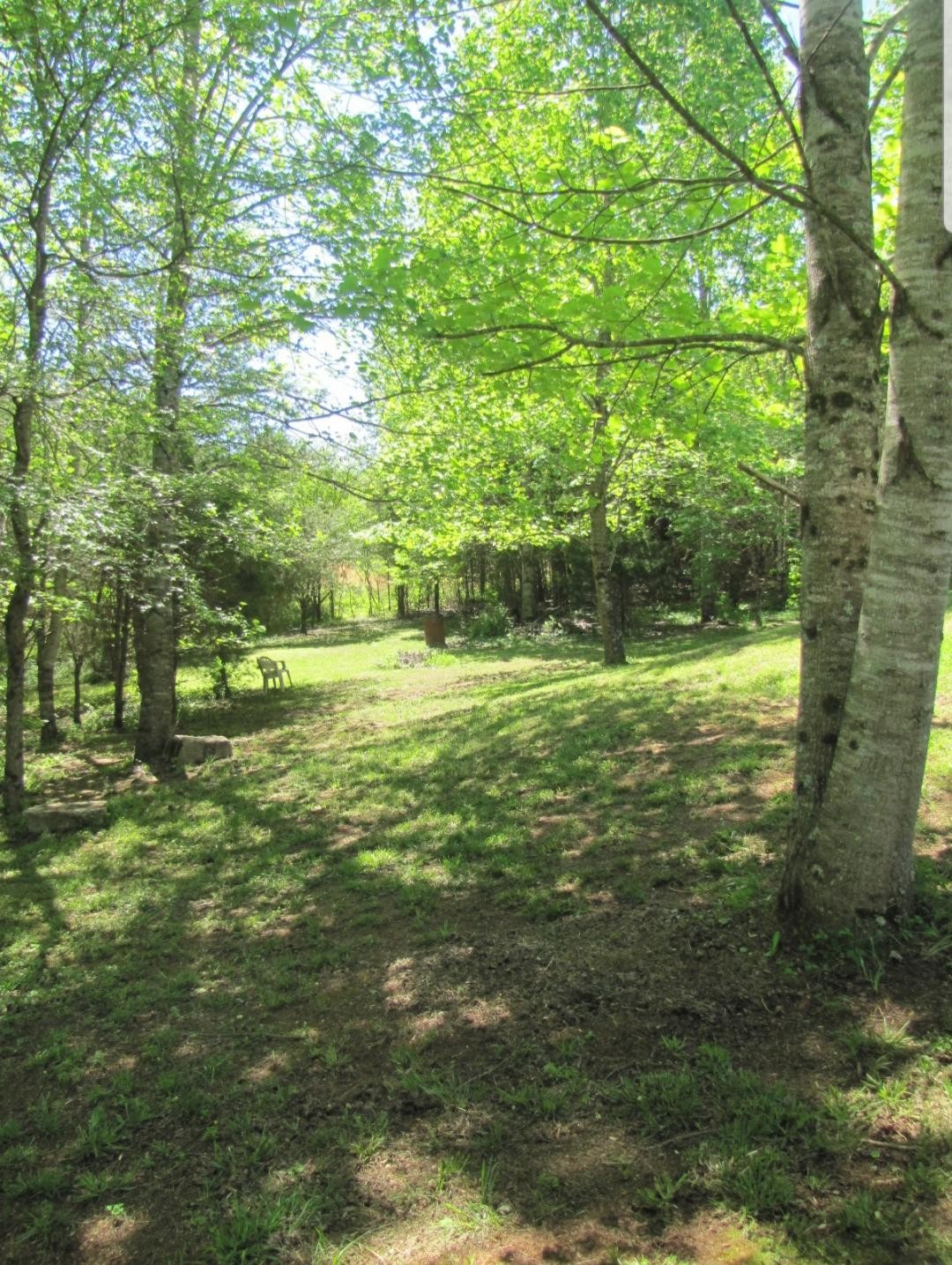 1123 Cloyds Church Road Greenback, TN 37742 - Photo 3 of 23 Gallery Image 3