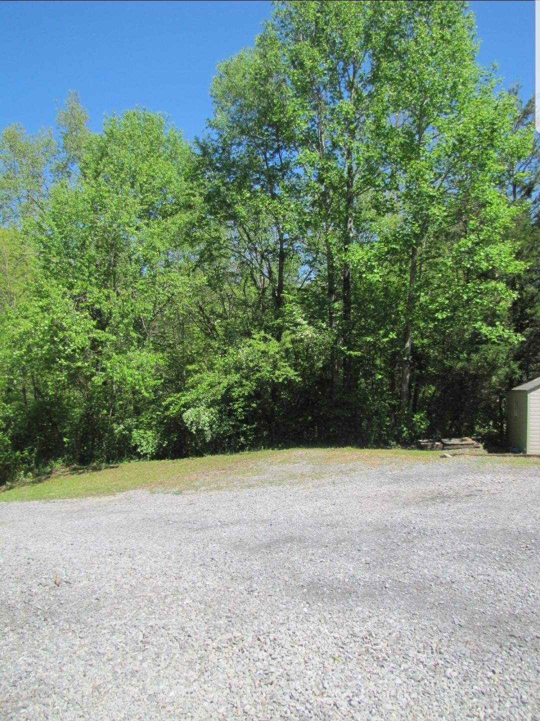 1123 Cloyds Church Road Greenback, TN 37742 - Photo 4 of 23 Gallery Image 4