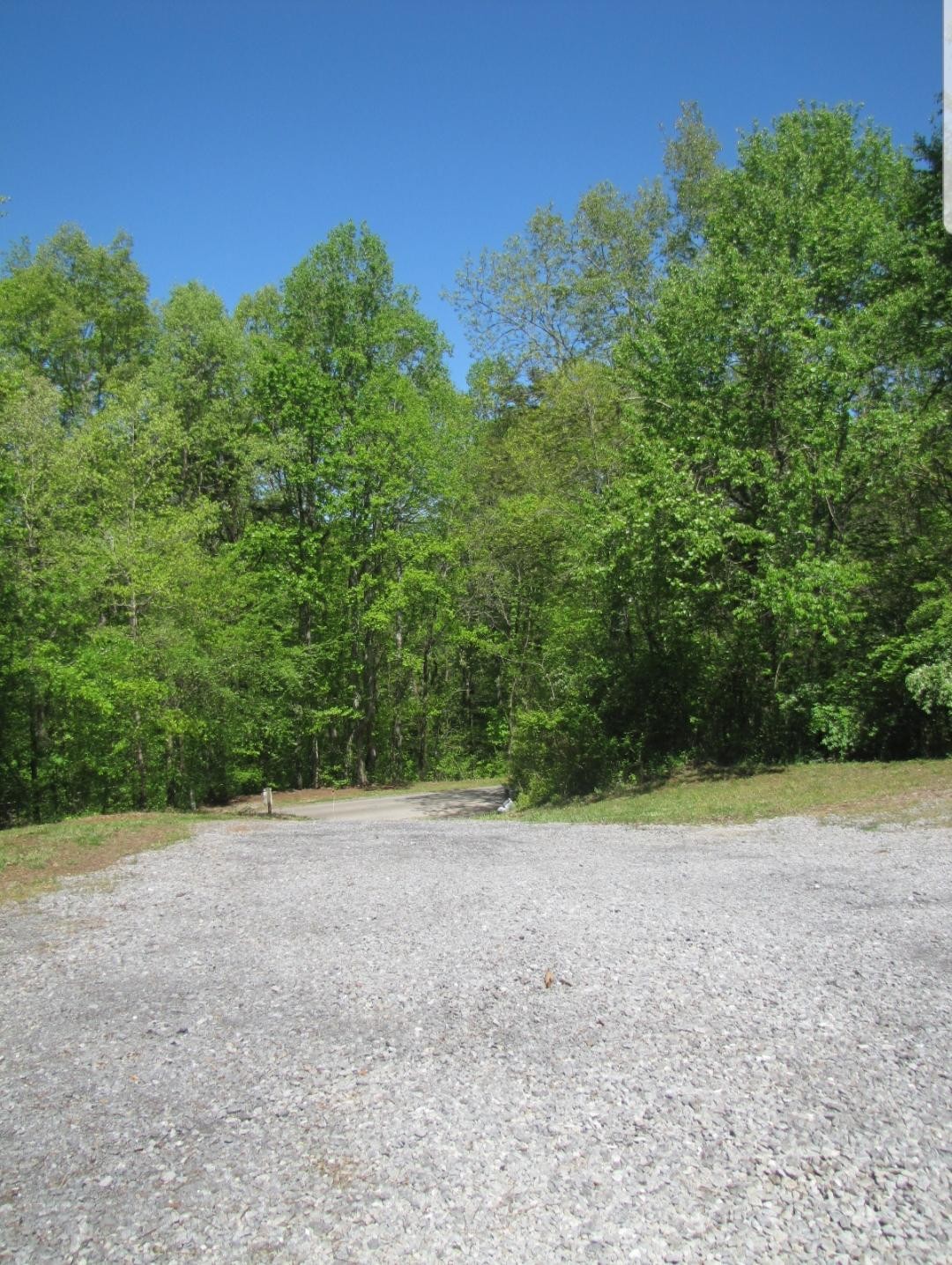 1123 Cloyds Church Road Greenback, TN 37742 - Photo 5 of 23 Gallery Image 5