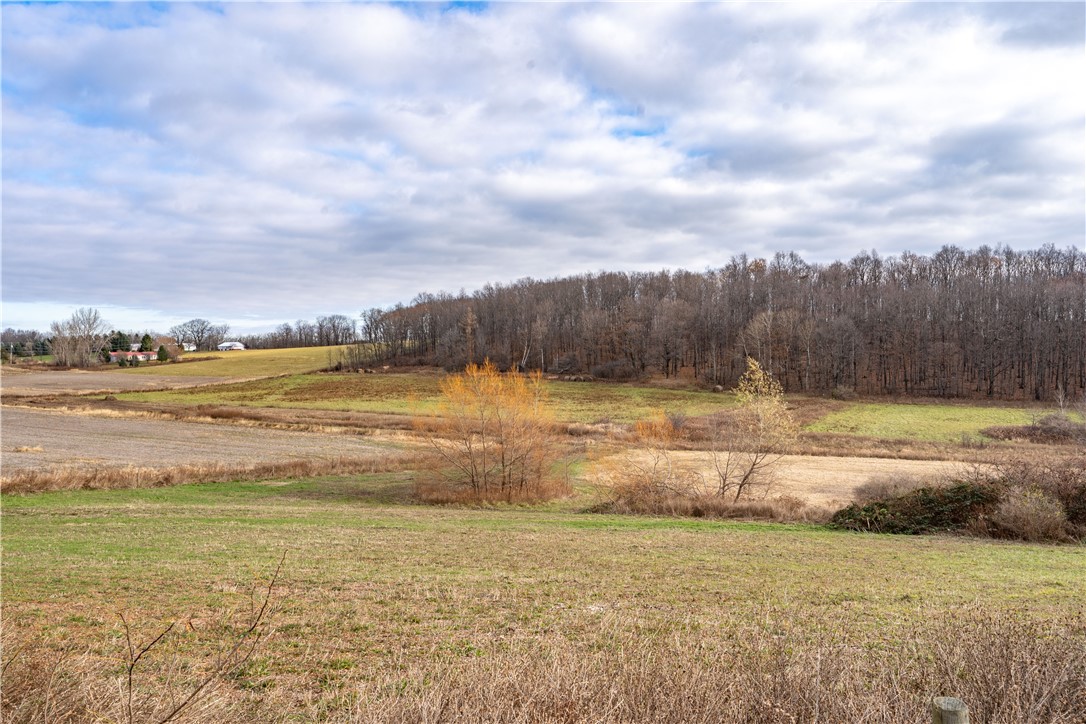 Woolhouse Road Canandaigua, NY 14424 - Photo 2 of 39